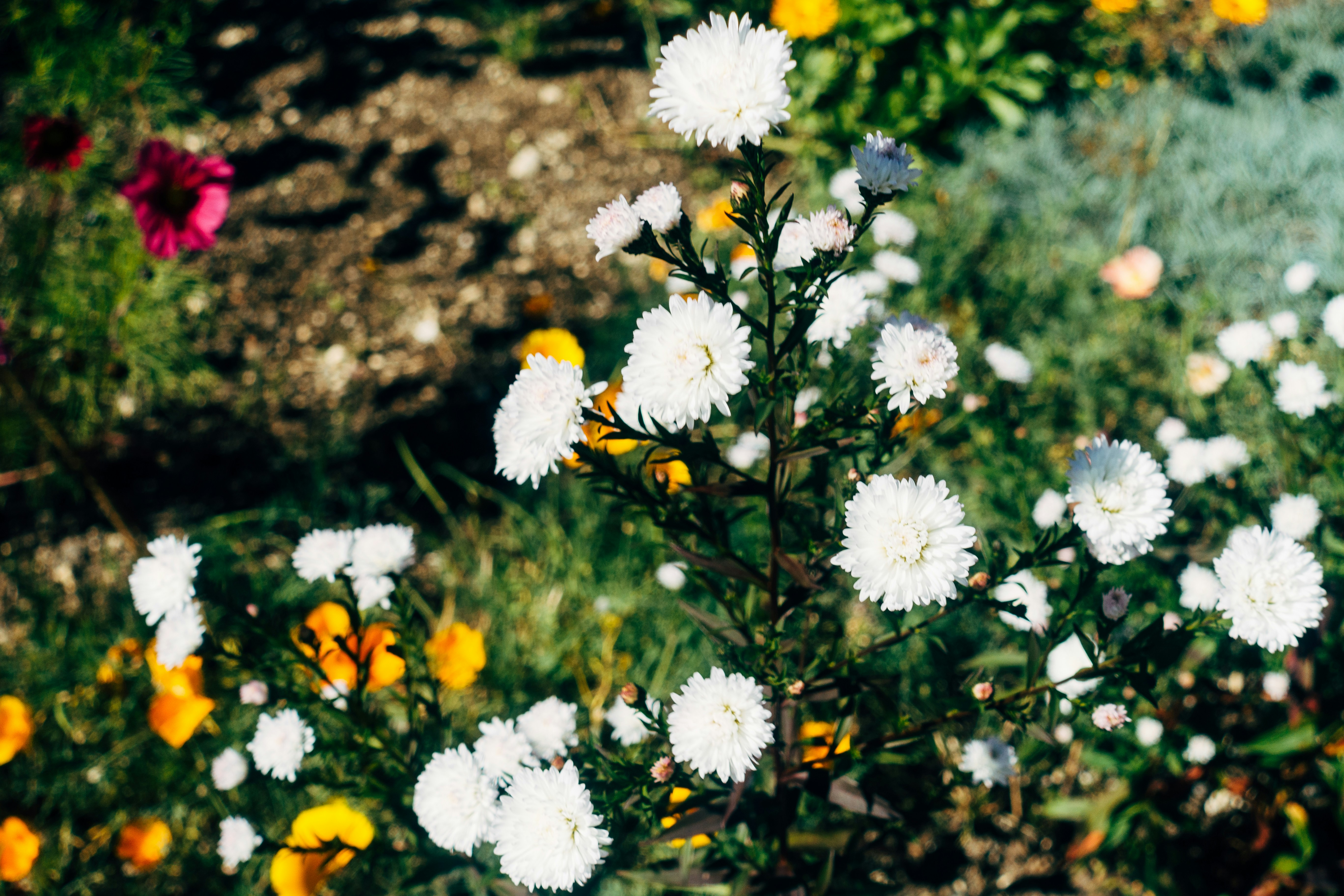 Photo by markuswinkler