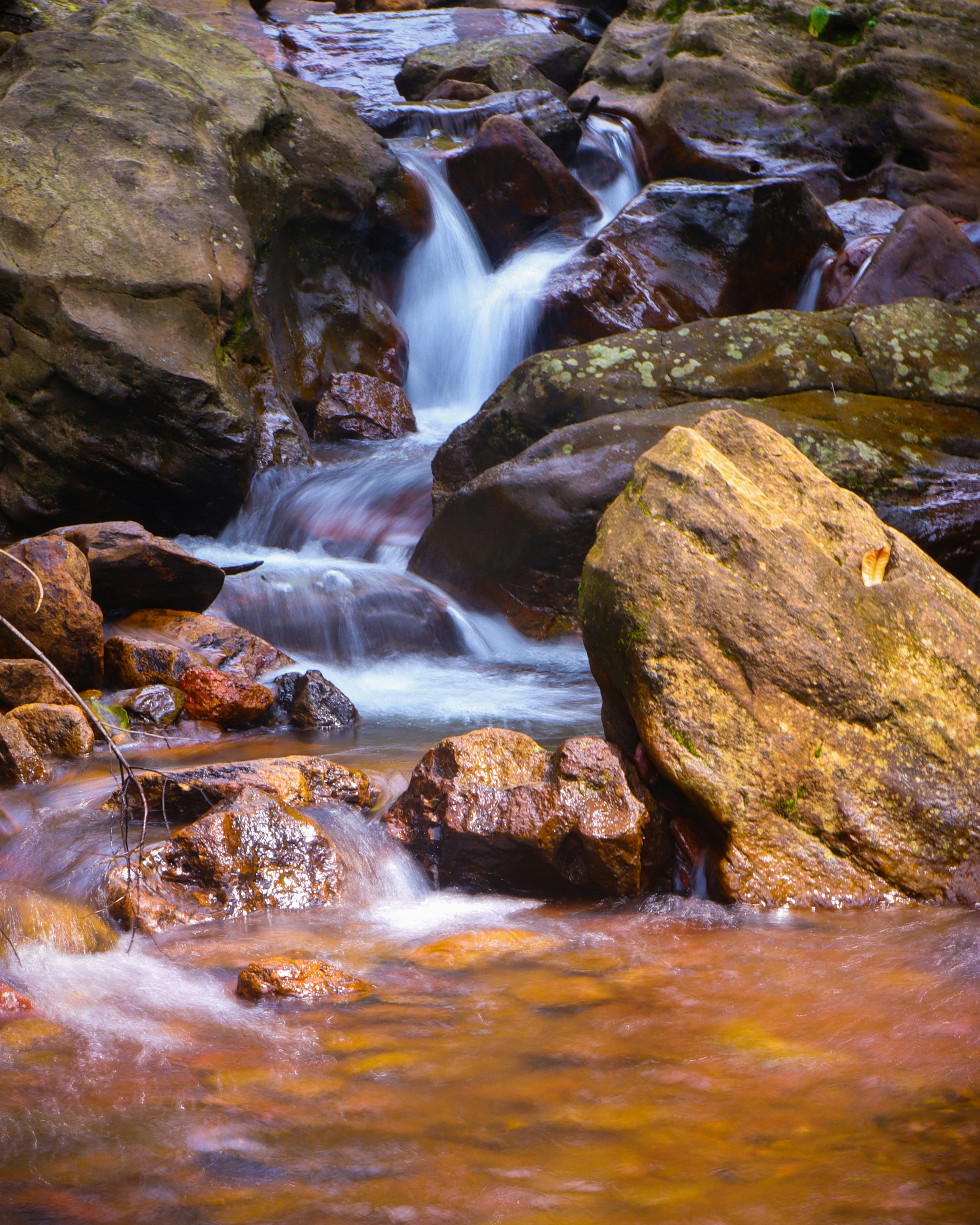 Photo by avii_mohanty