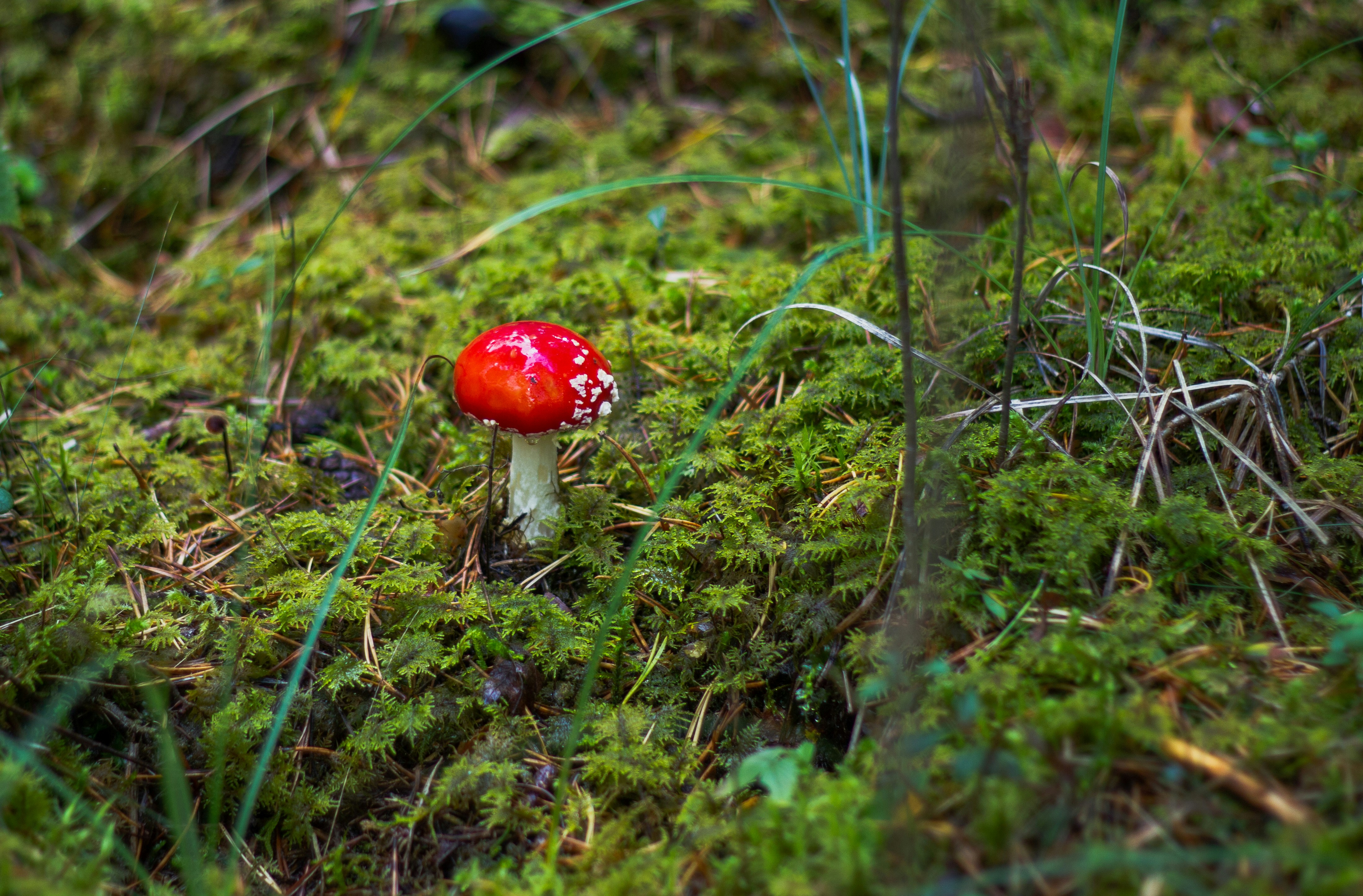 Photo by silverringvee