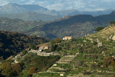Traditional farmhouse surrounded by silk farms with distant hills in the background.