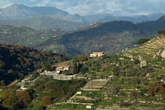 Traditional farmhouse surrounded by silk farms with distant hills in the background.