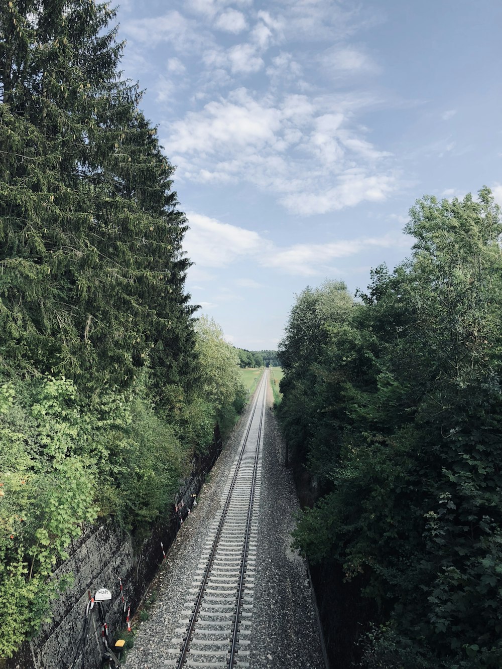 railroad between trees