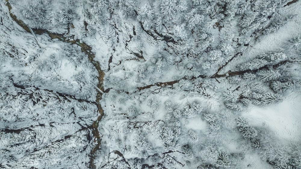 an aerial view of a snow covered forest