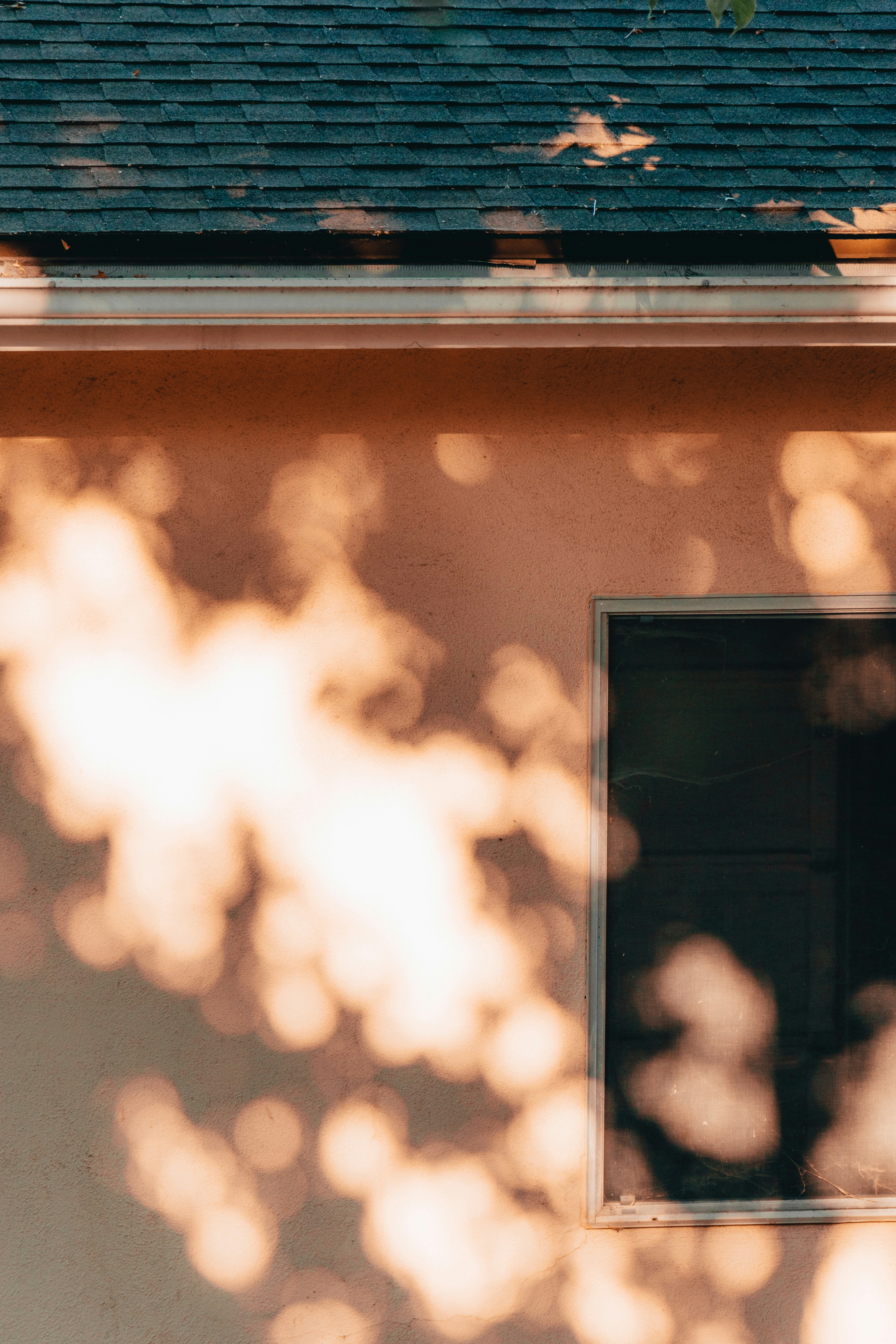 Photo by frubergstedt