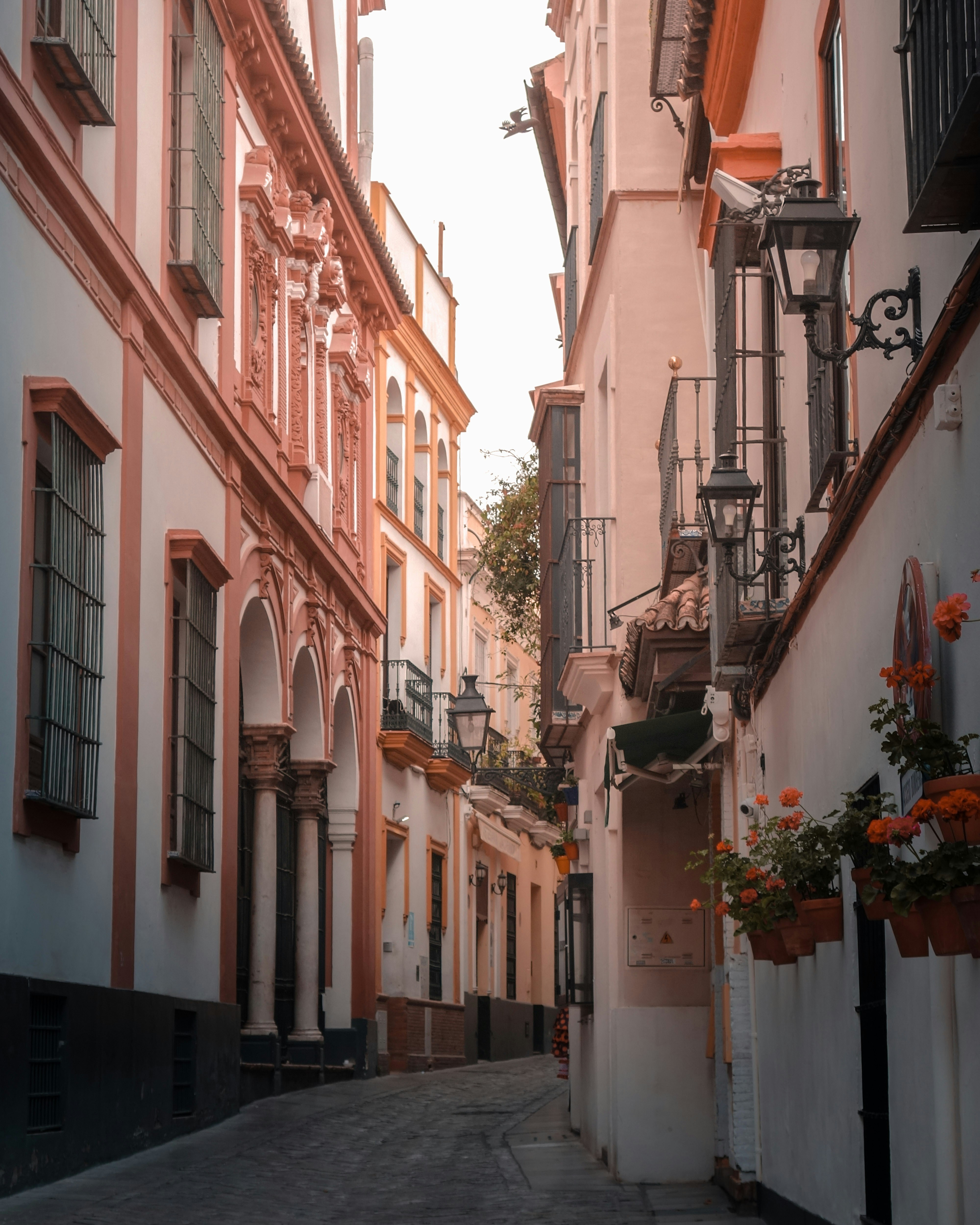 Photo by louisa_schaad