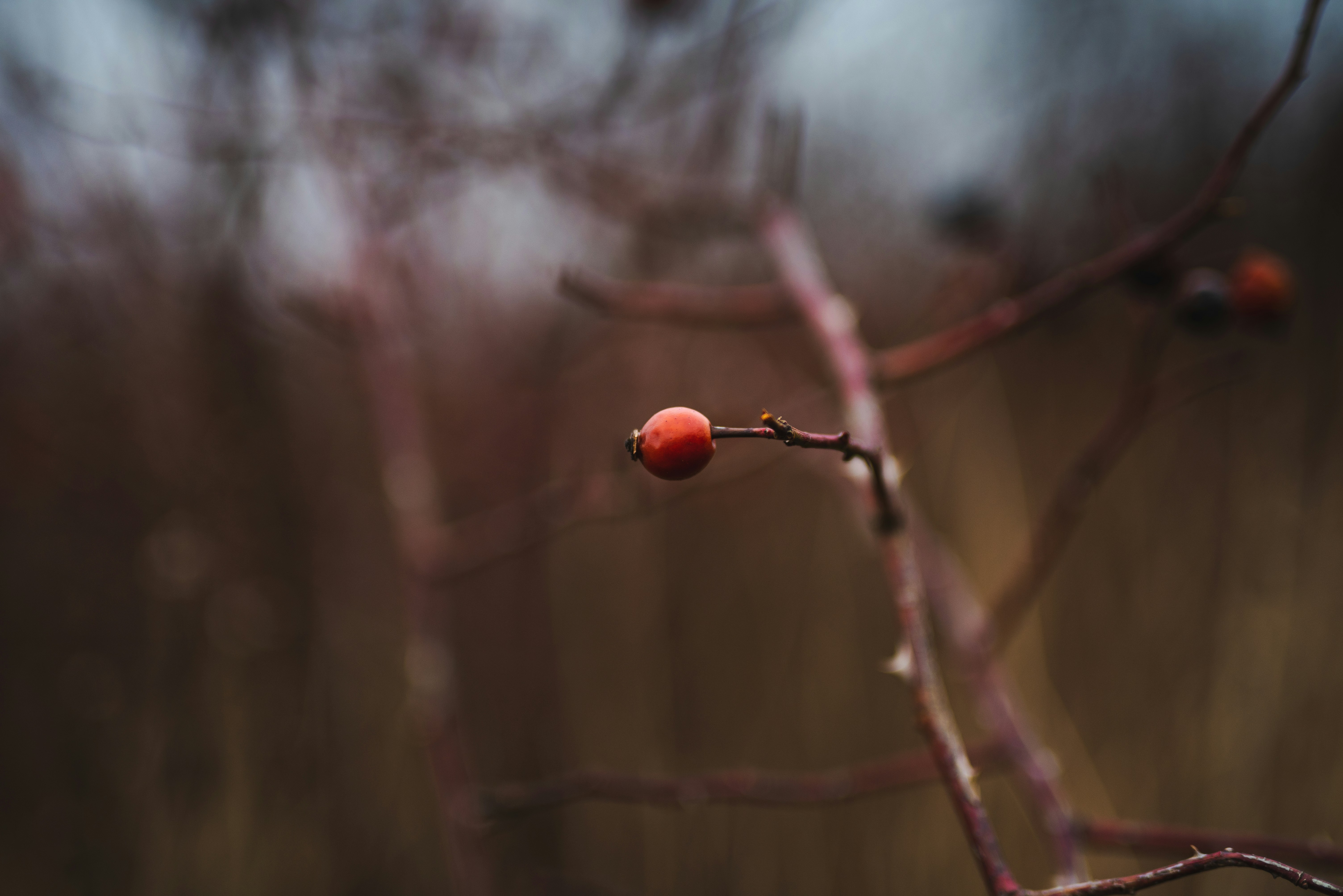 Photo by manucruceru