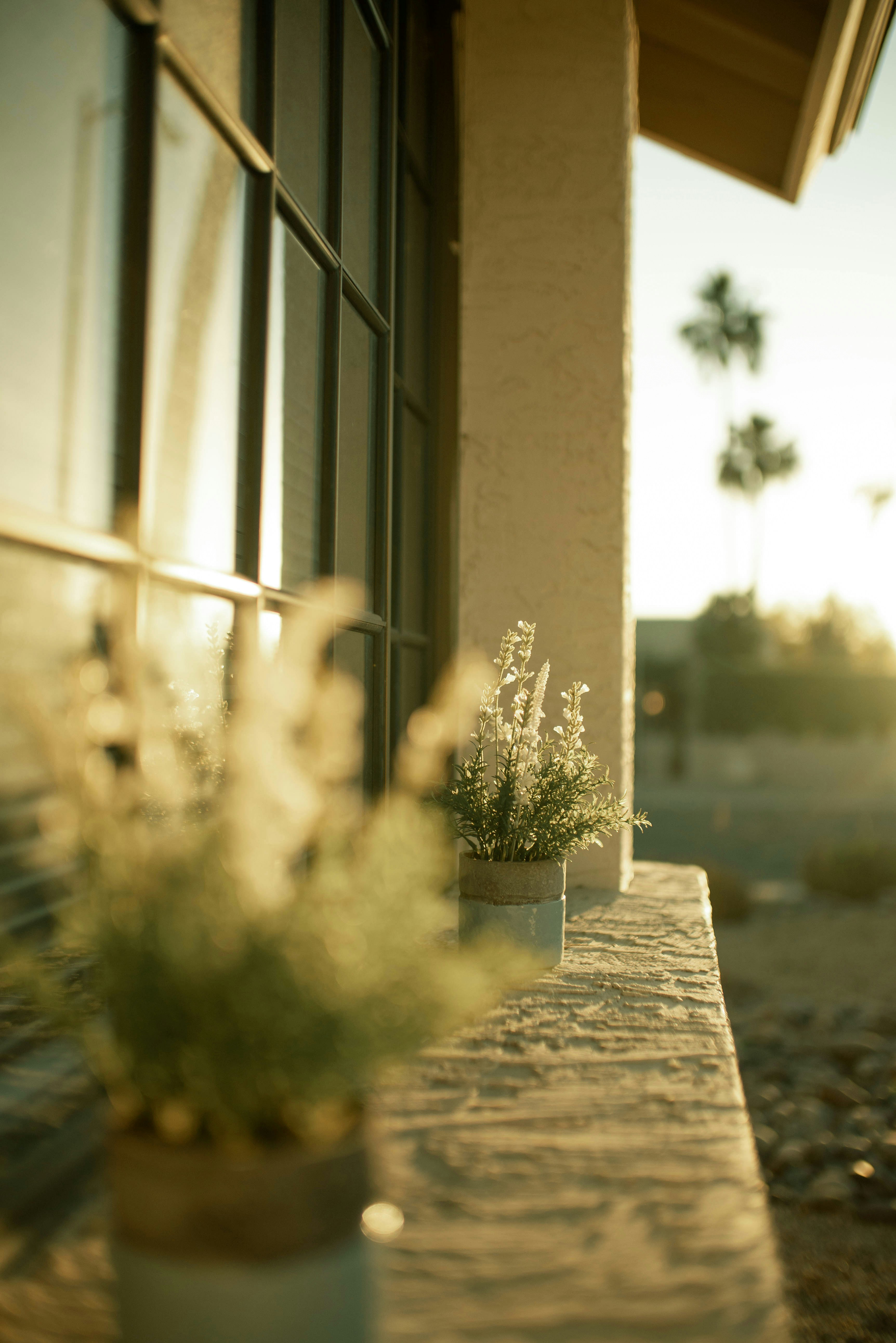 Los Cardones's image