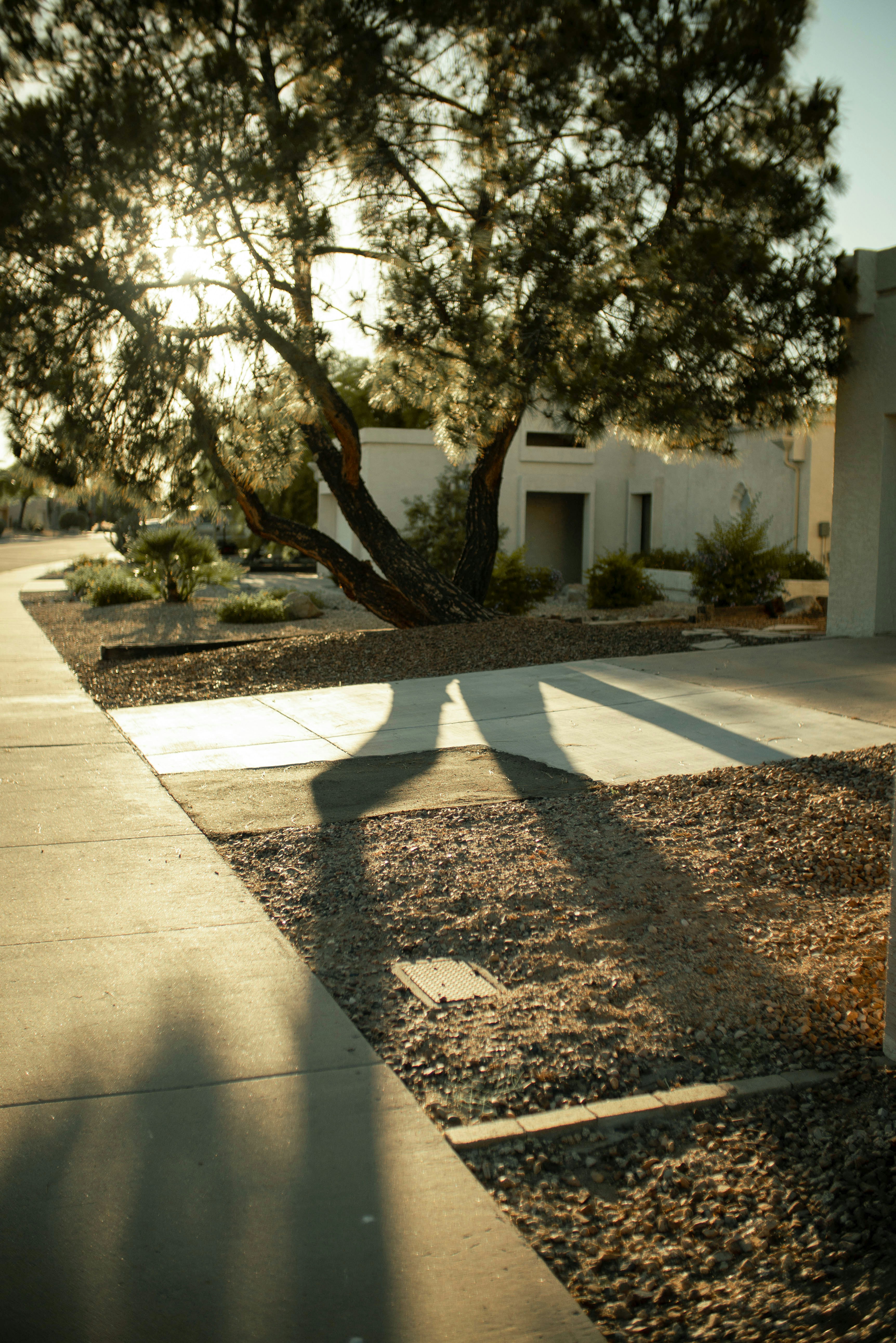 Grüne Bäume in der Nähe von weißem Betonhaus