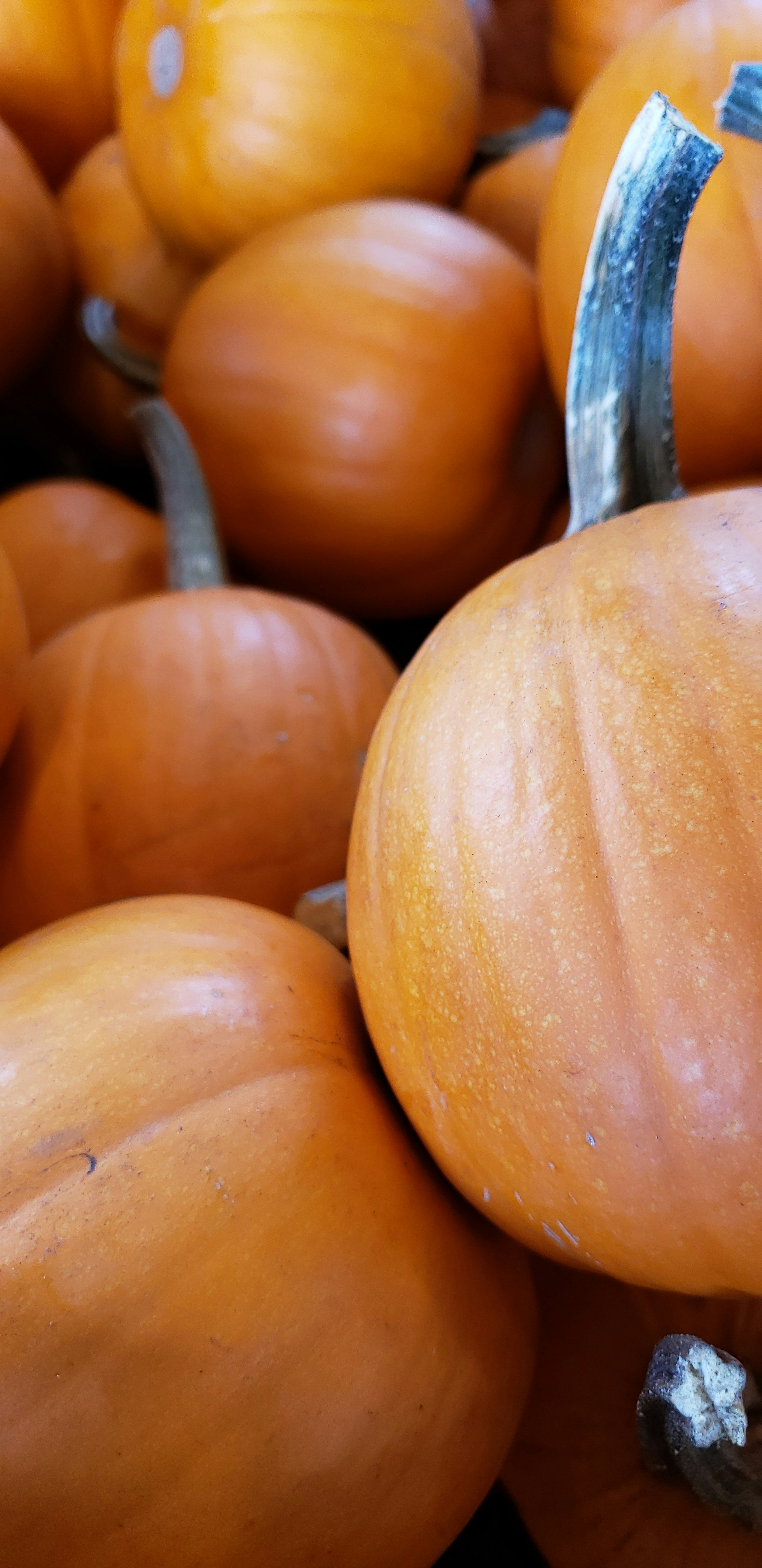 Photo by smashuhlee_nicole