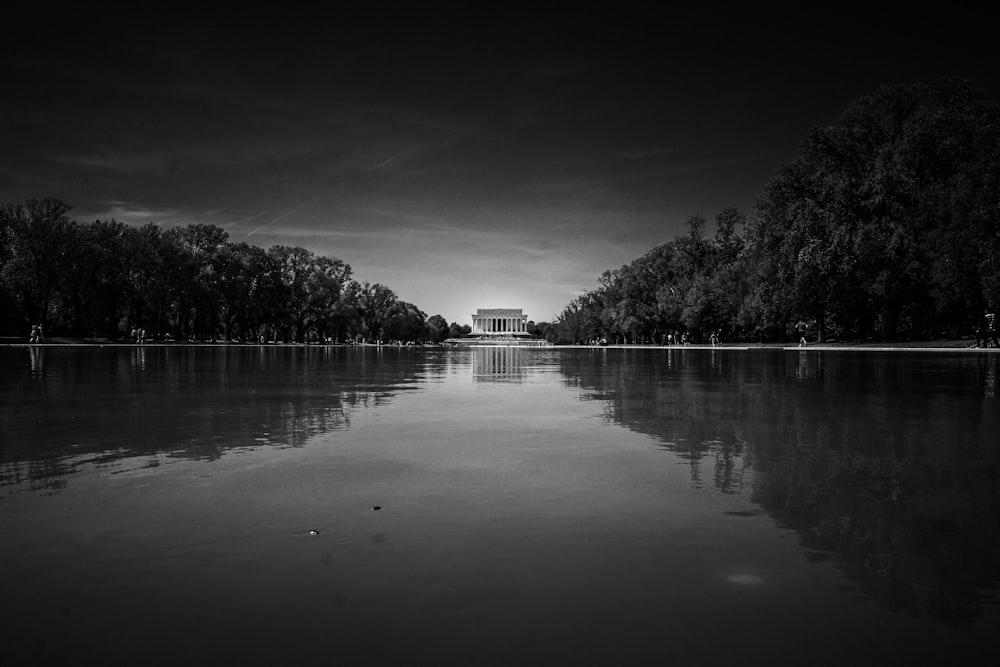 green trees surrounded with body of water