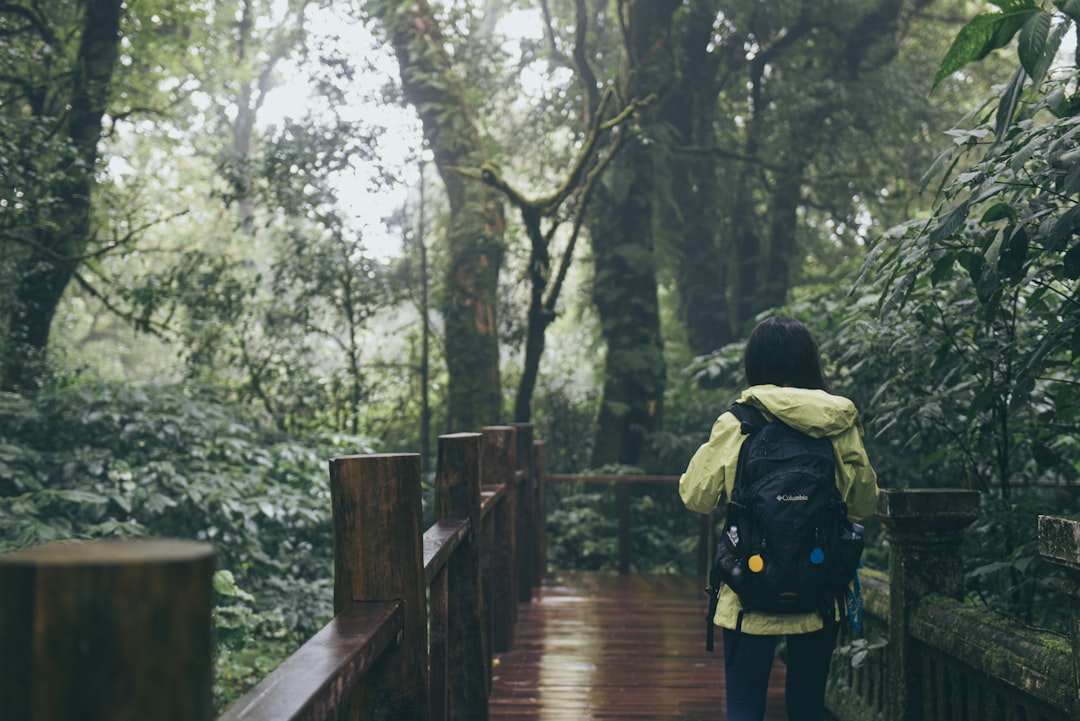 person wearing green jacket with backpack standing on wooden bridge surrounded with tall and green trees during daytime