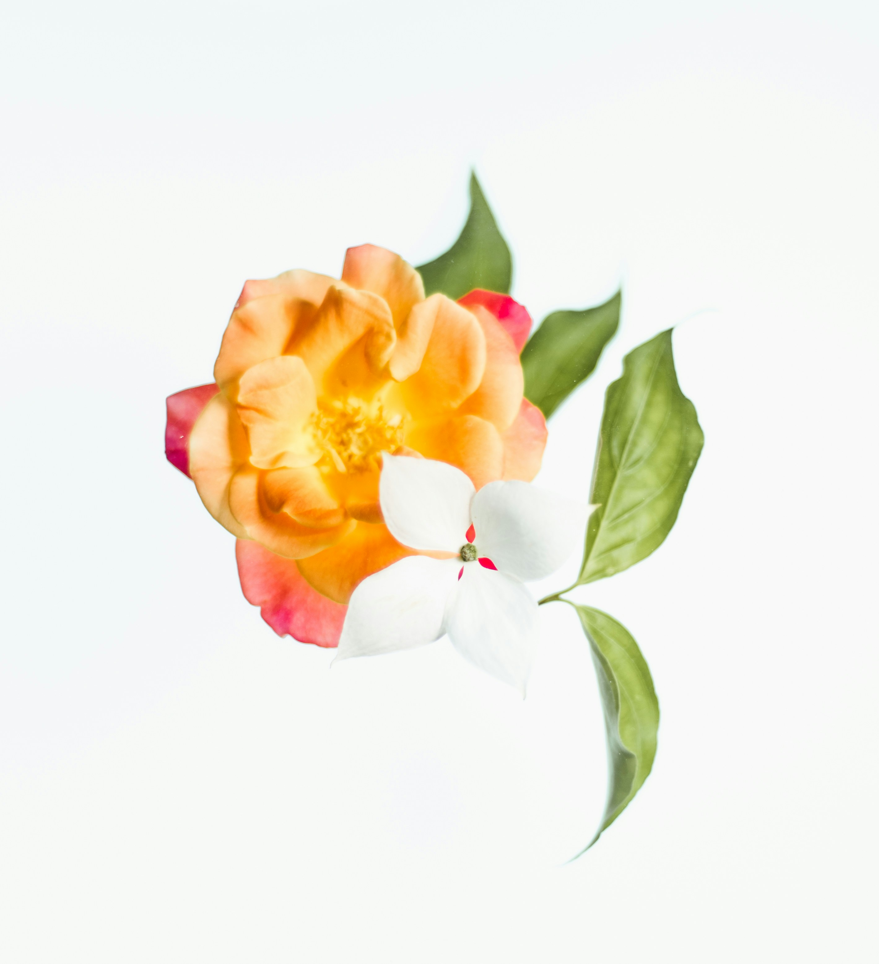 Photo by evieshaffer