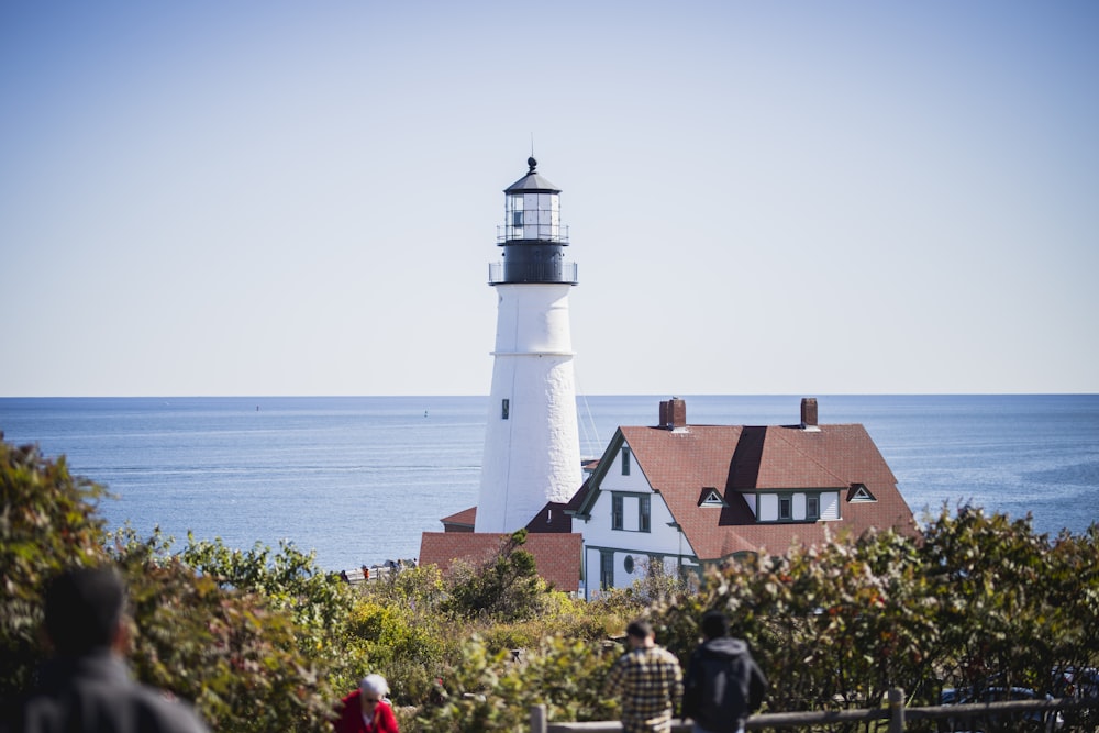 white and brown light house on seashore