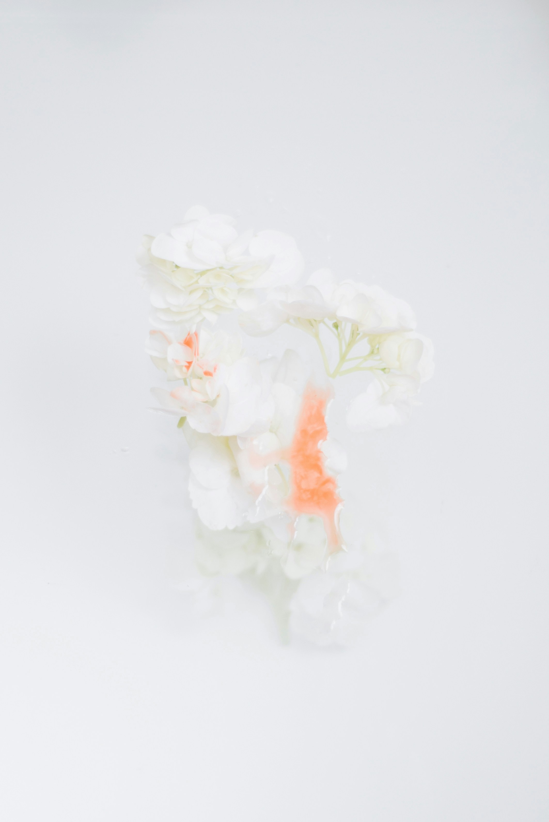 Photo by evieshaffer