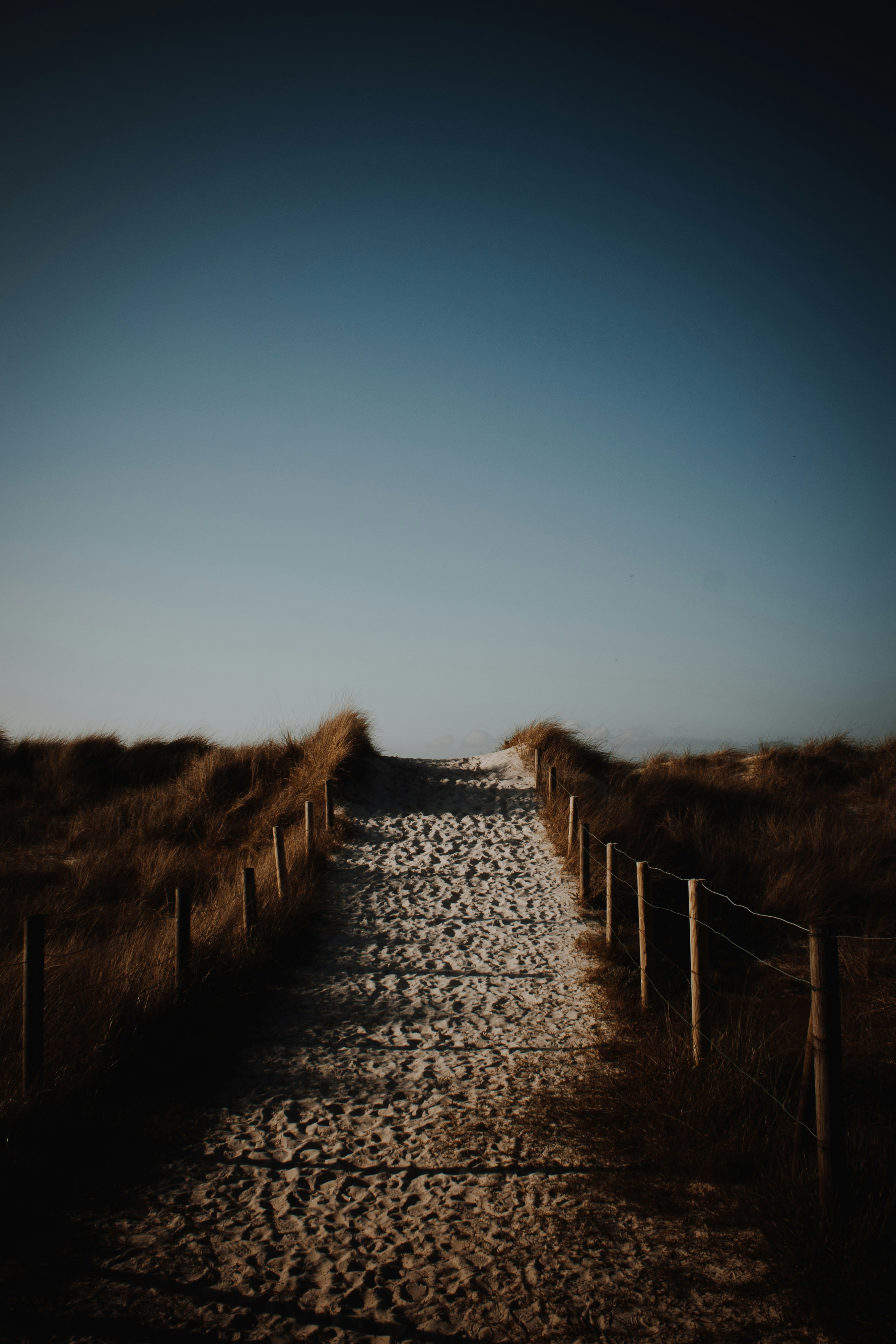 Photo by 3tnik