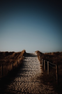 A sandy path leads through grassy dunes under a clear sky. The wooden posts and rope fencing guide the way, with shadows cast at an angle, suggesting early morning or late afternoon. The path seems peaceful and inviting, with a sense of solitude and connection to nature.