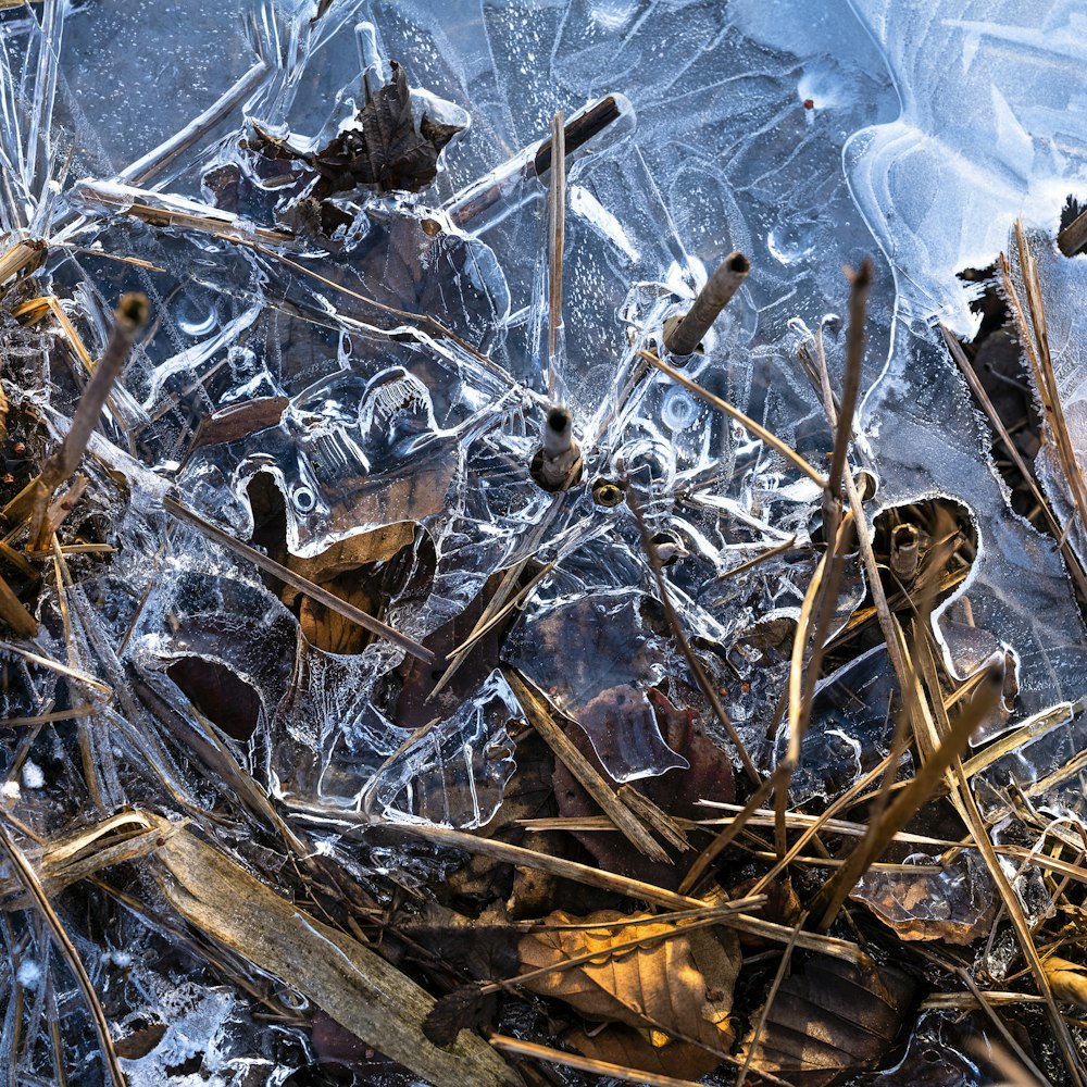 a bunch of ice that is sitting on the ground