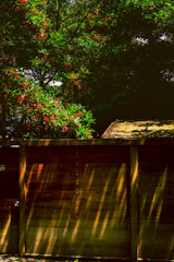 A freshly installed wooden fence bordering a lush, blooming garden.