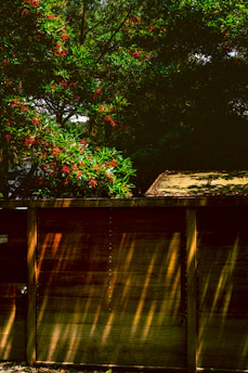 A freshly installed wooden fence bordering a lush, blooming garden.