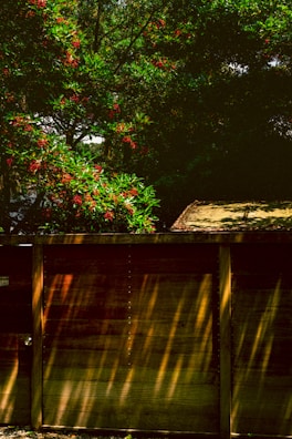 A newly installed wooden fence bordering a garden.