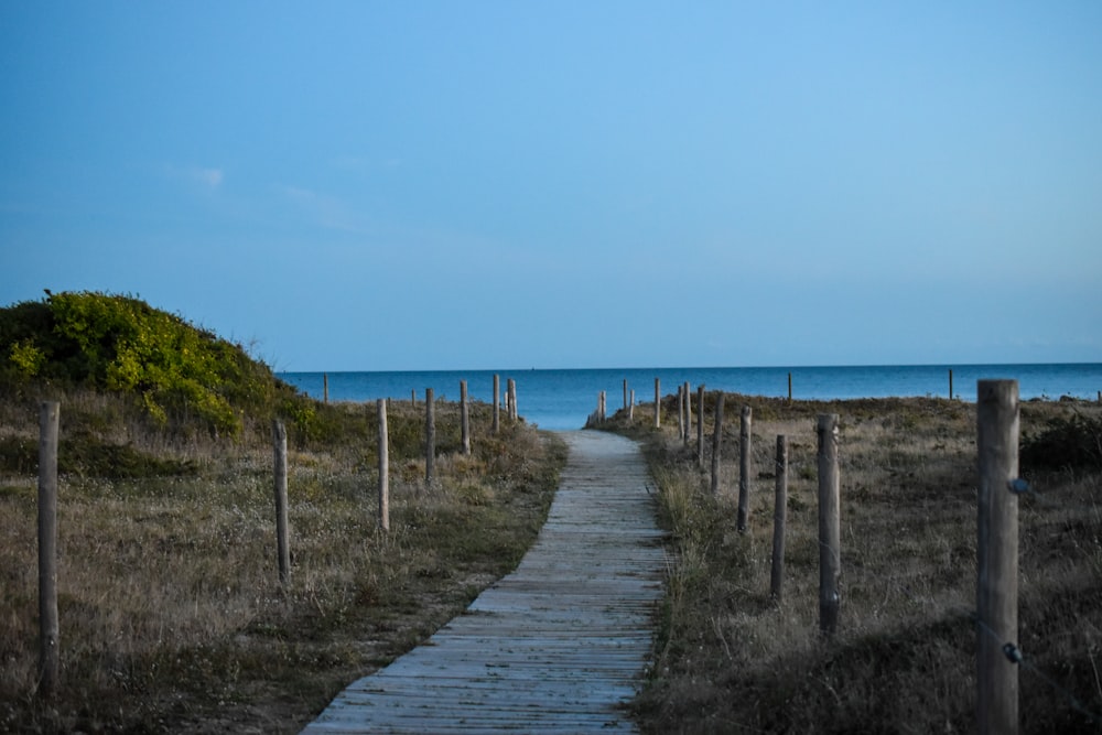 brown wooden pathway near sea during daytime