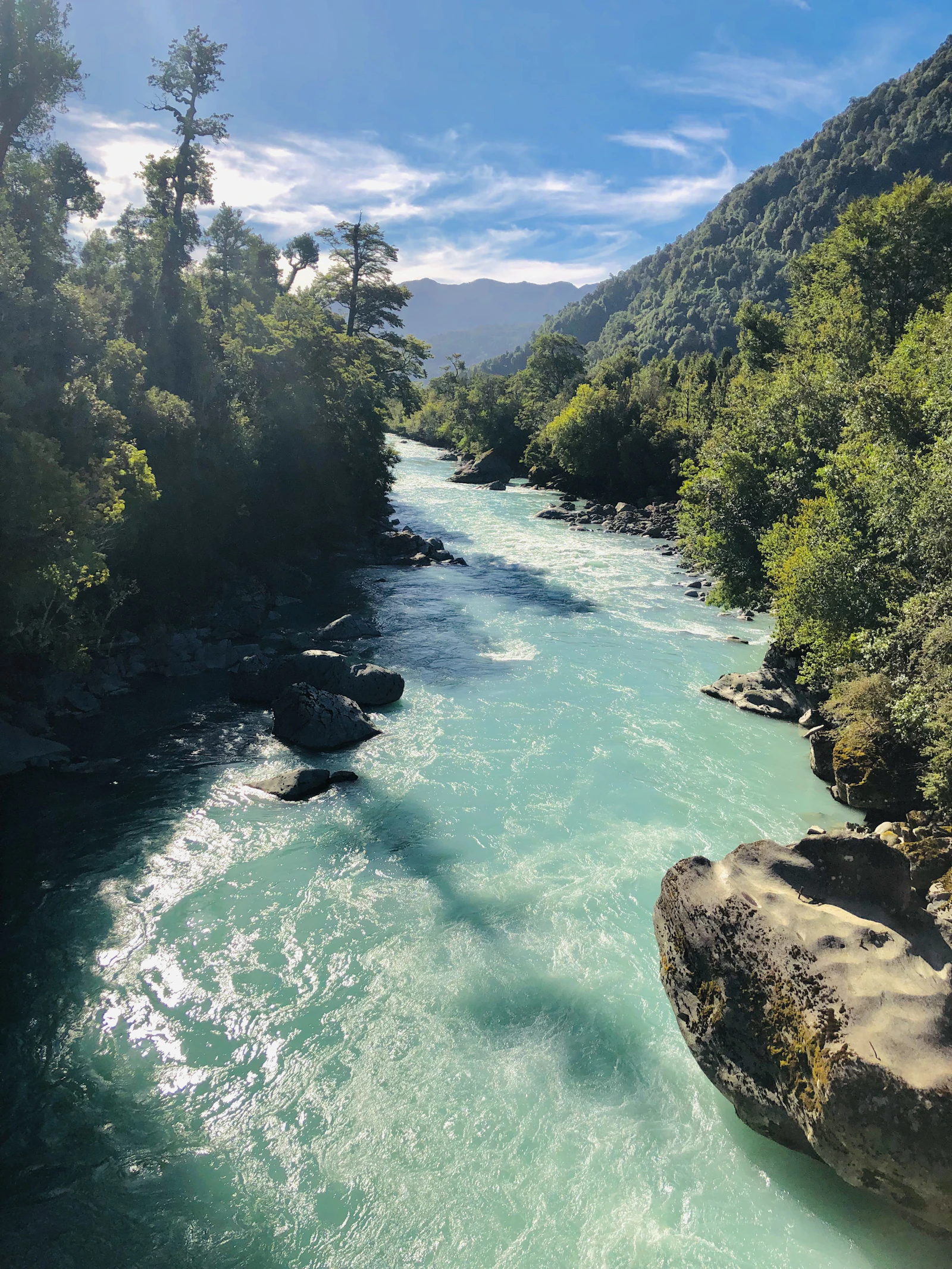 A glacier-fed Patagonian river and forest beside a remote route