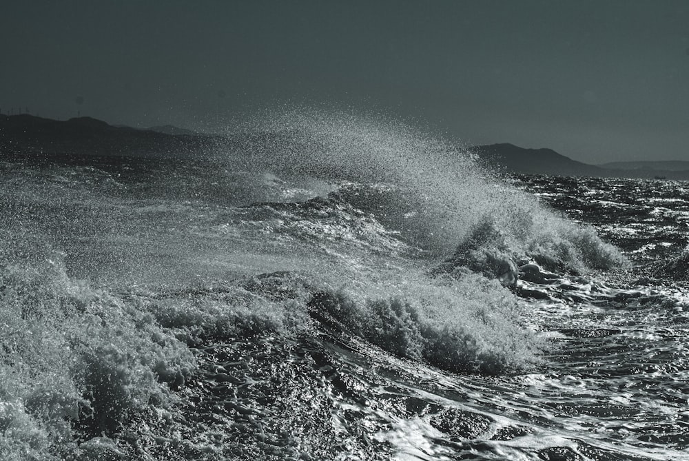 Photo en niveaux de gris d’un plan d’eau