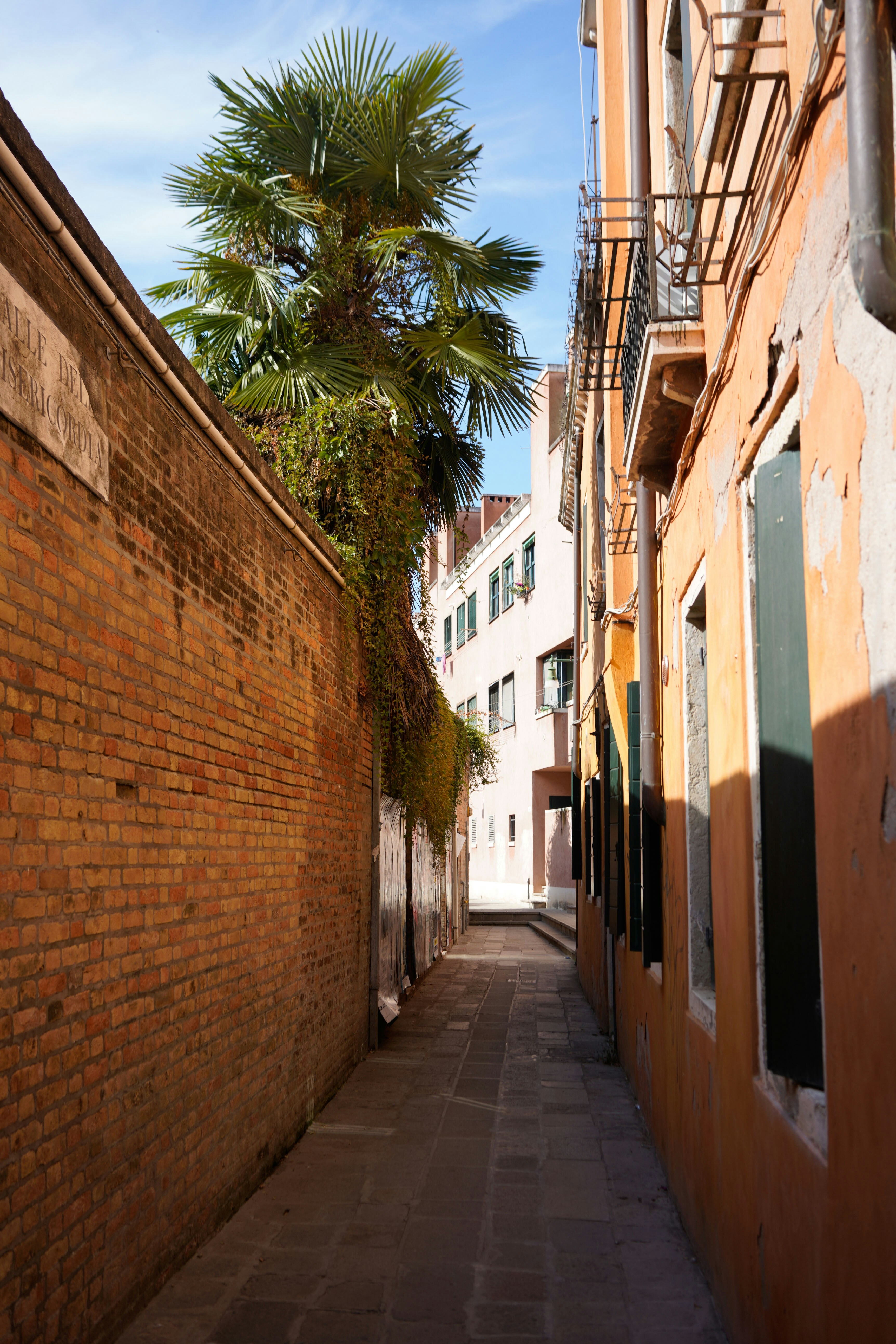 Photo by giorgiotrovato