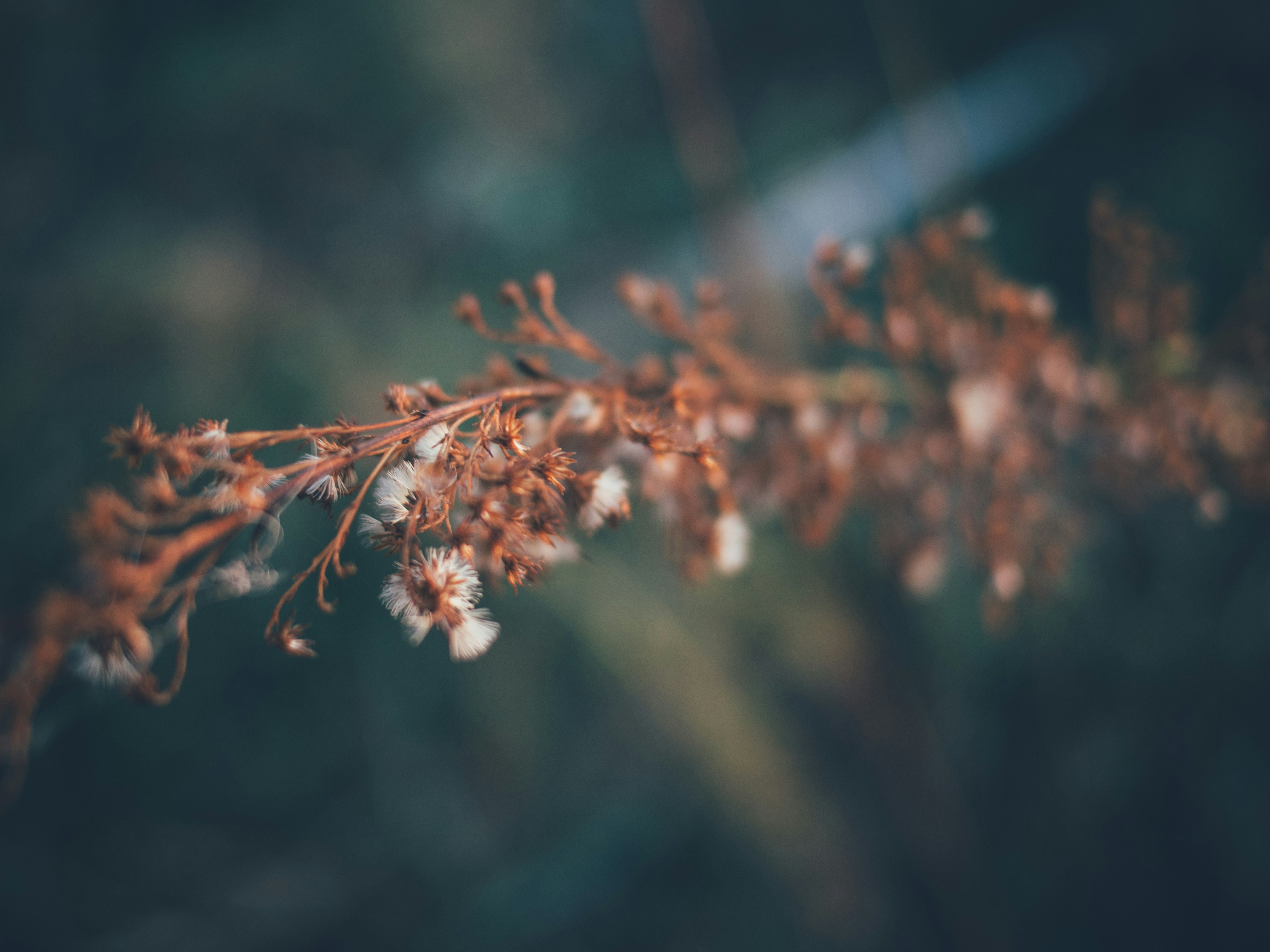 Photo by gregwillson