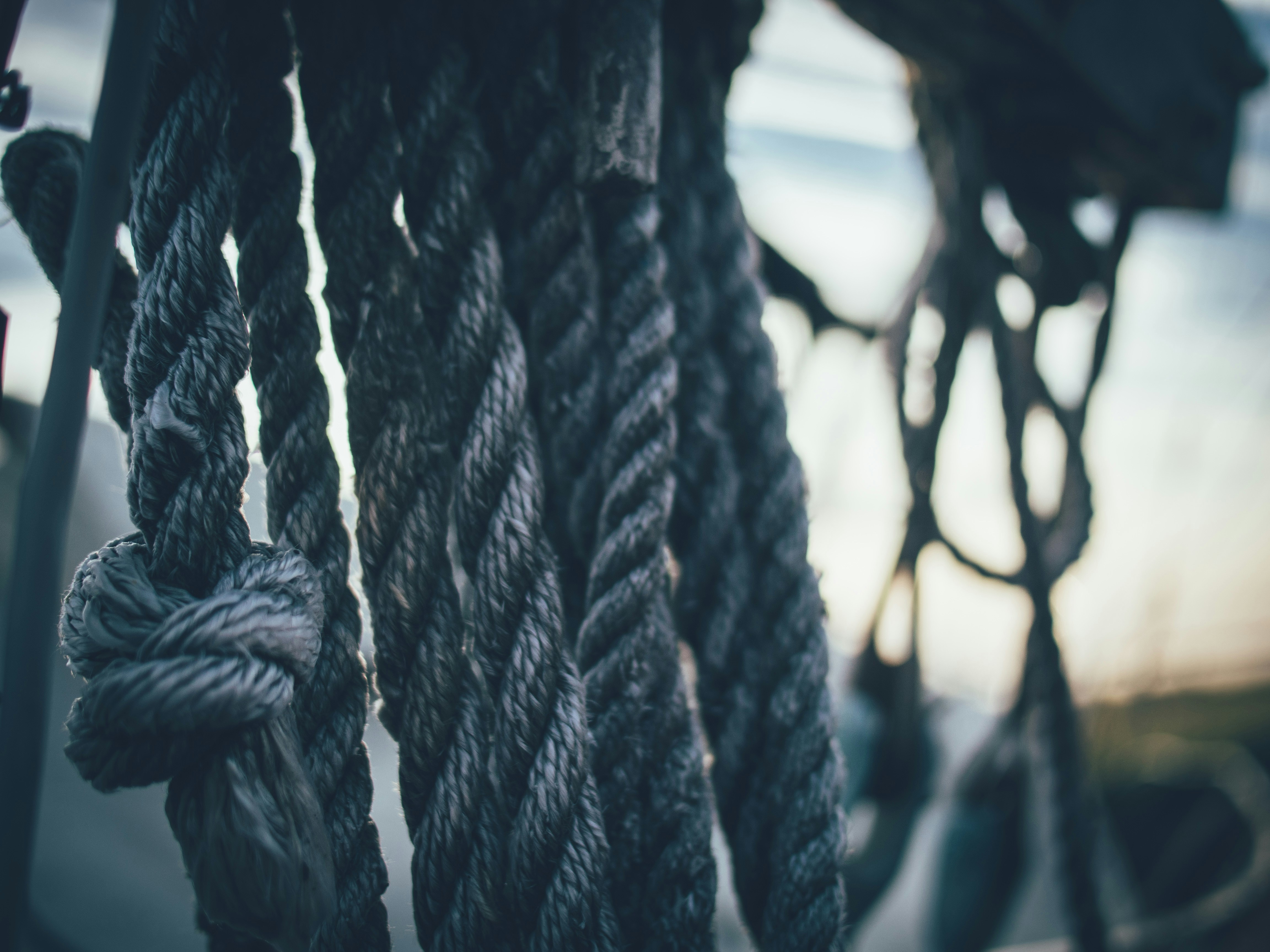 Photo by gregwillson