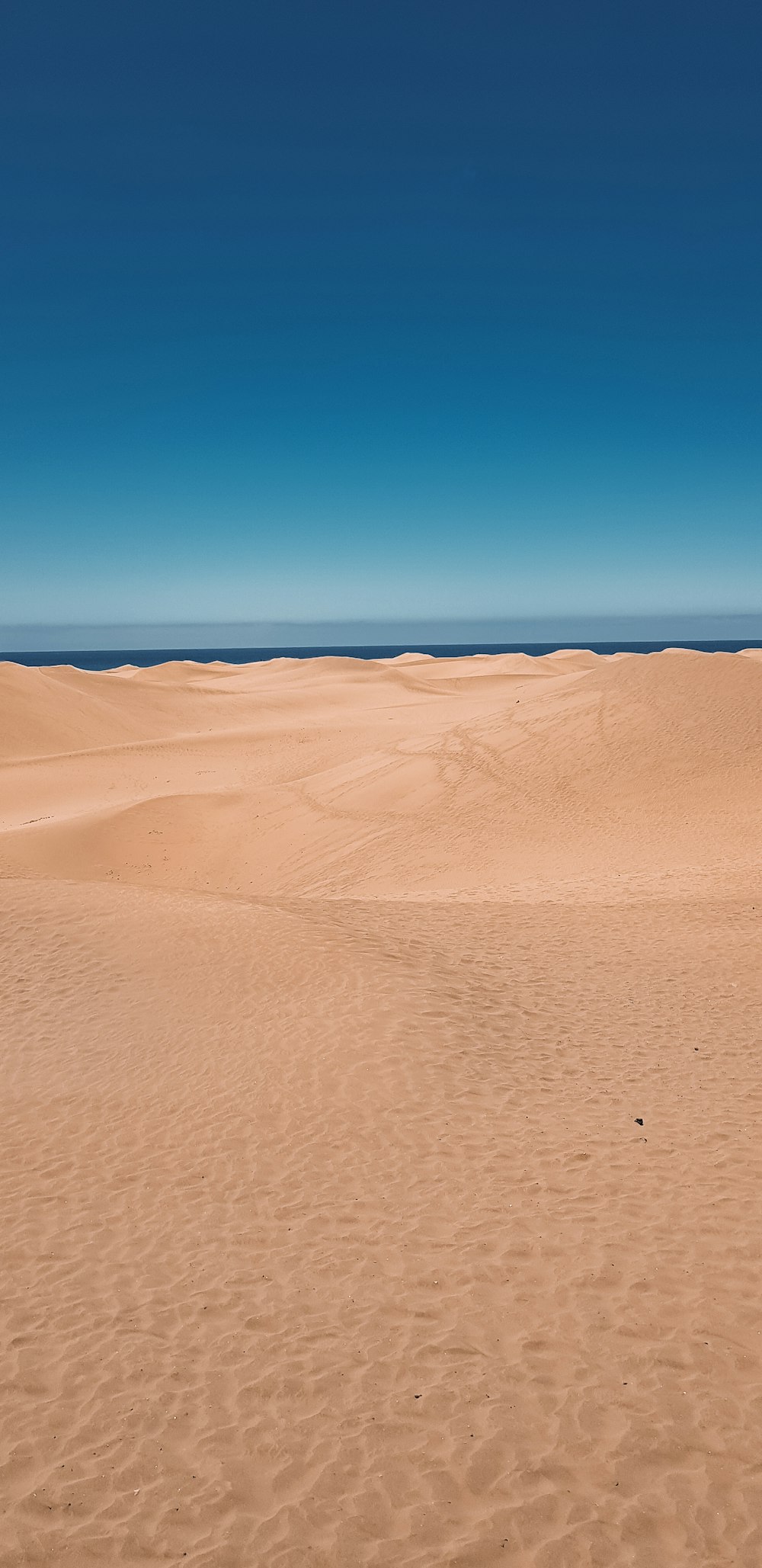 desierto durante el día