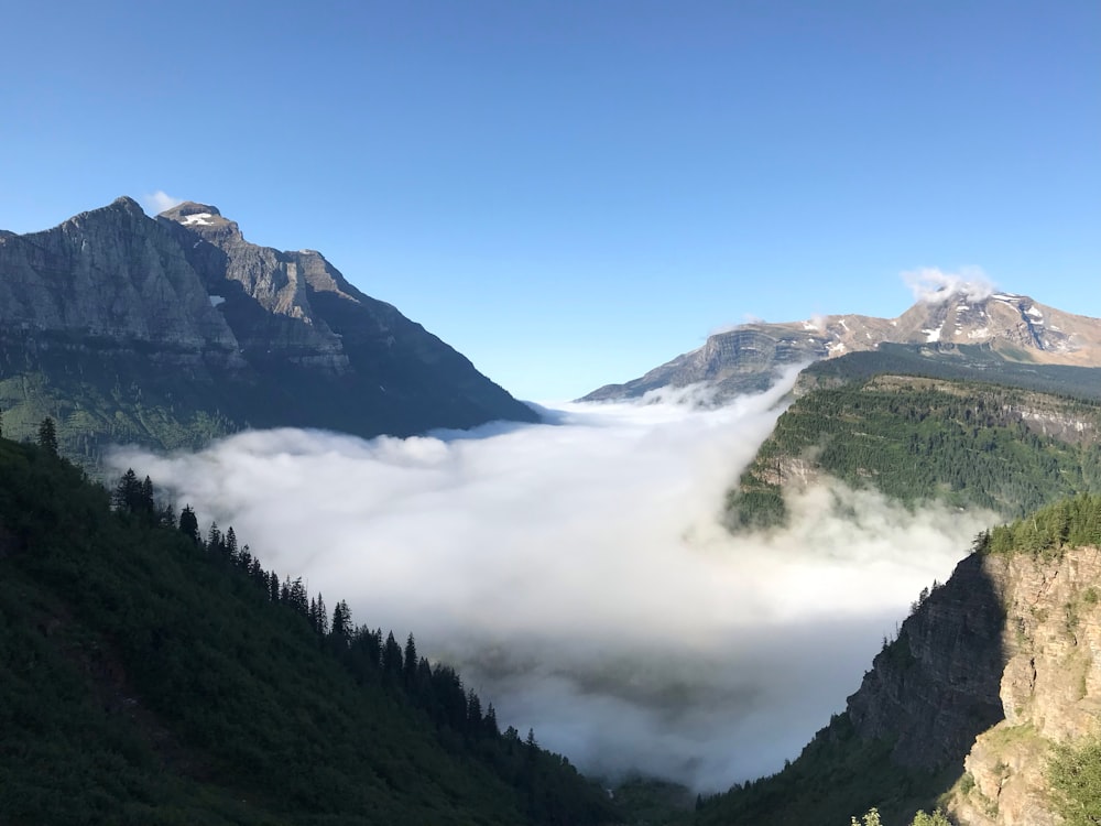 mountains coevred by fogs