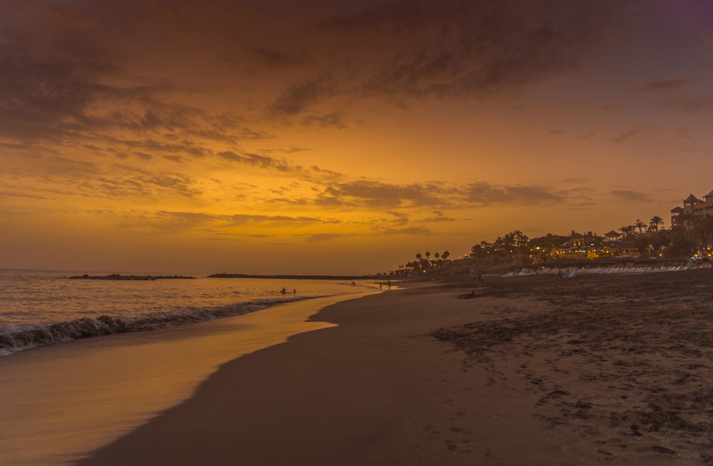 seashore during daytime