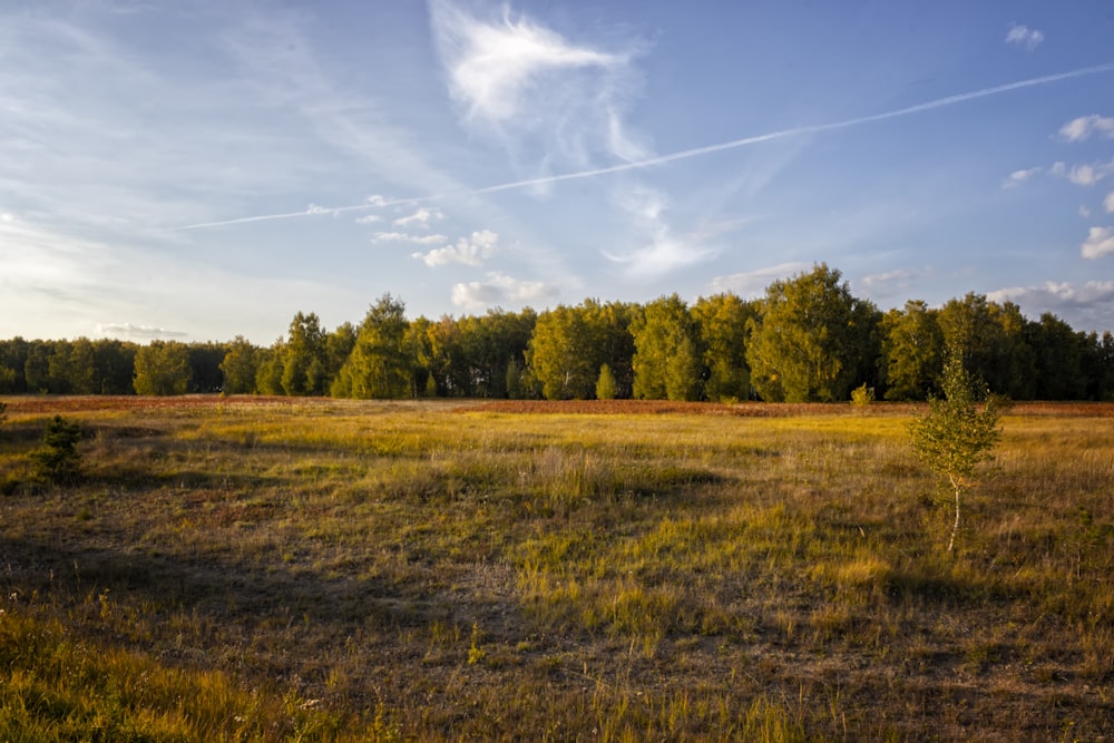 rural area at daytime