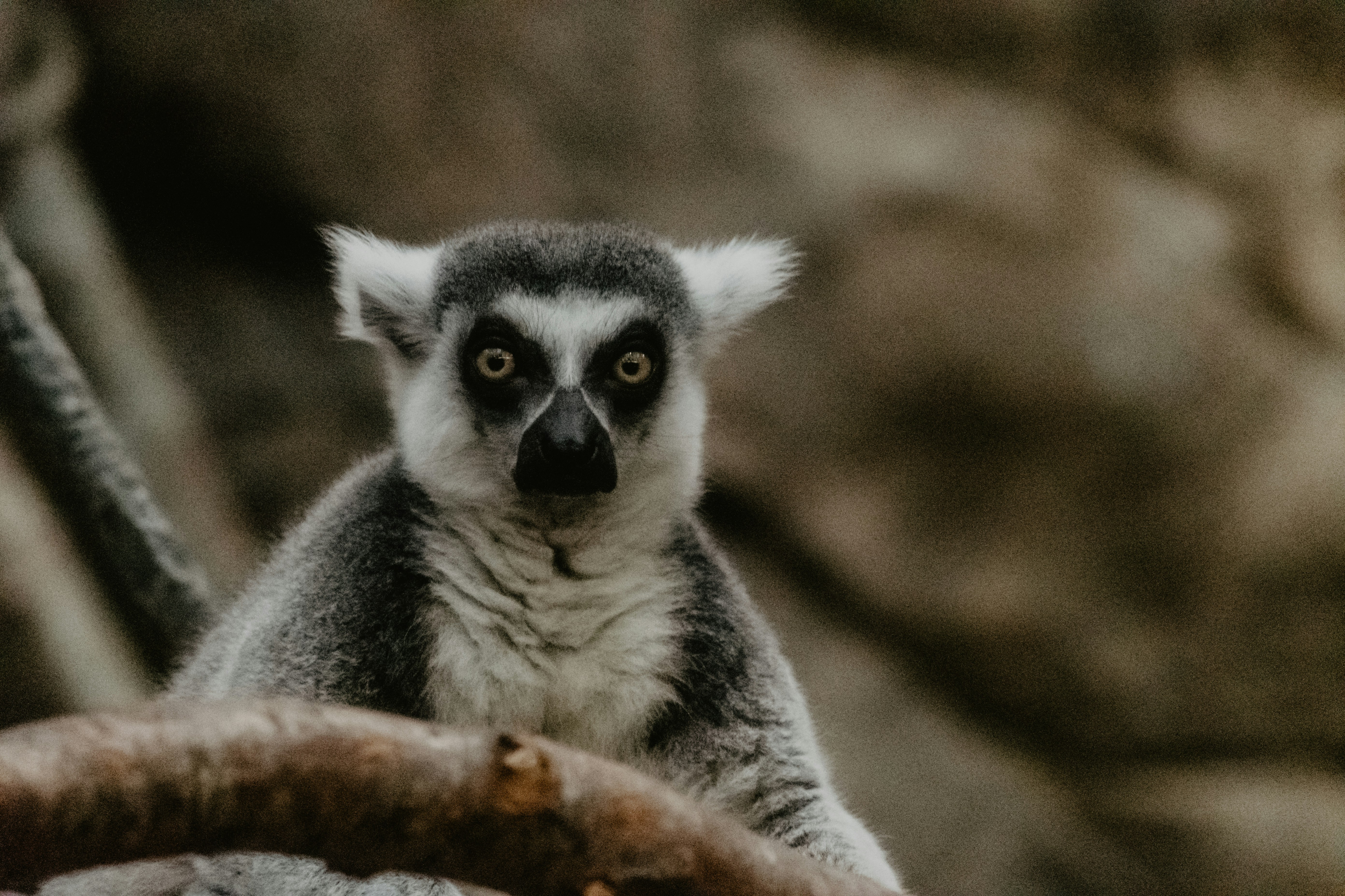 Photo by kellysikkema