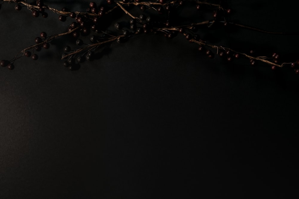 a bunch of berries on a black background
