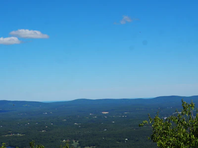 Wide view of a green lot with clear skies in the Maule region.