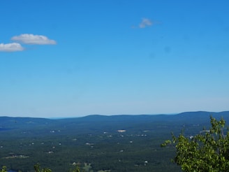 Expansive view of a prime land parcel.