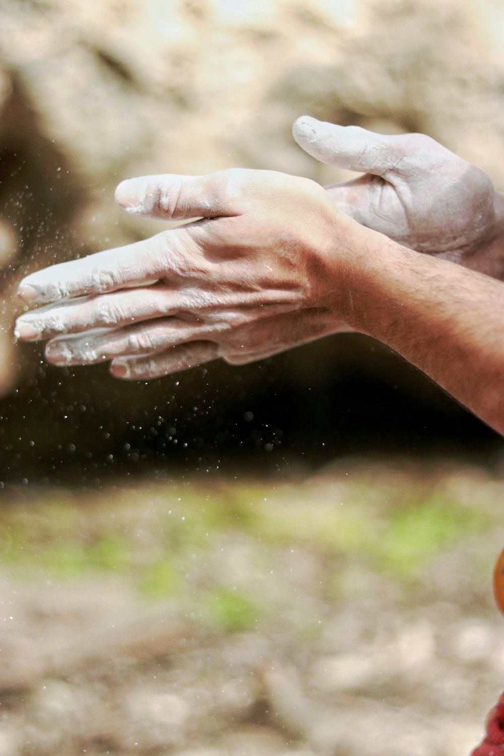 photo of person hands