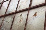 A series of weathered and cracked window panes, held together by a rusty metal framework. The glass has chicken wire embedded within, and some areas show significant damage with holes and missing fragments.