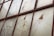 A series of weathered and cracked window panes, held together by a rusty metal framework. The glass has chicken wire embedded within, and some areas show significant damage with holes and missing fragments.