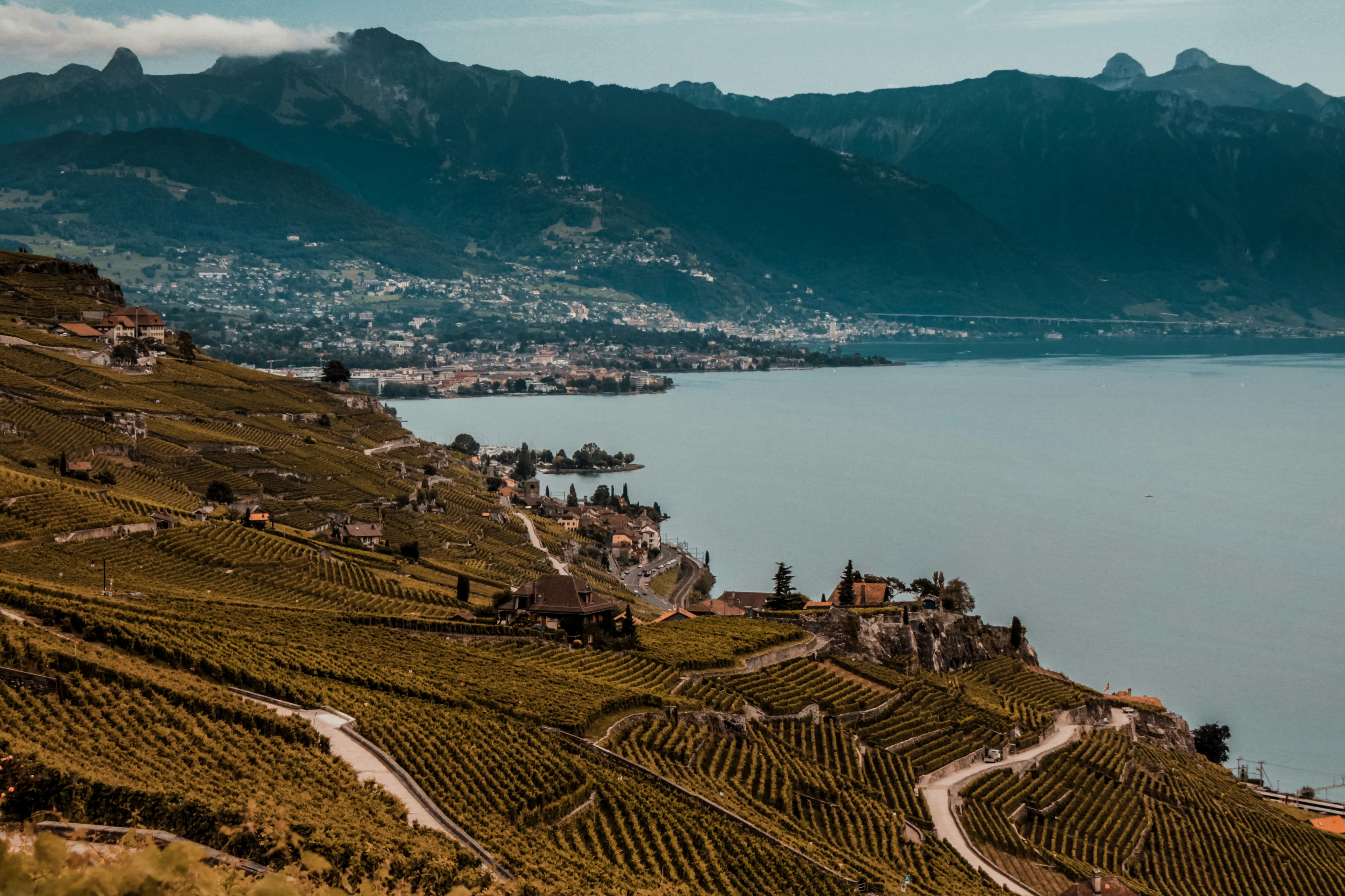 Photo by floriancario