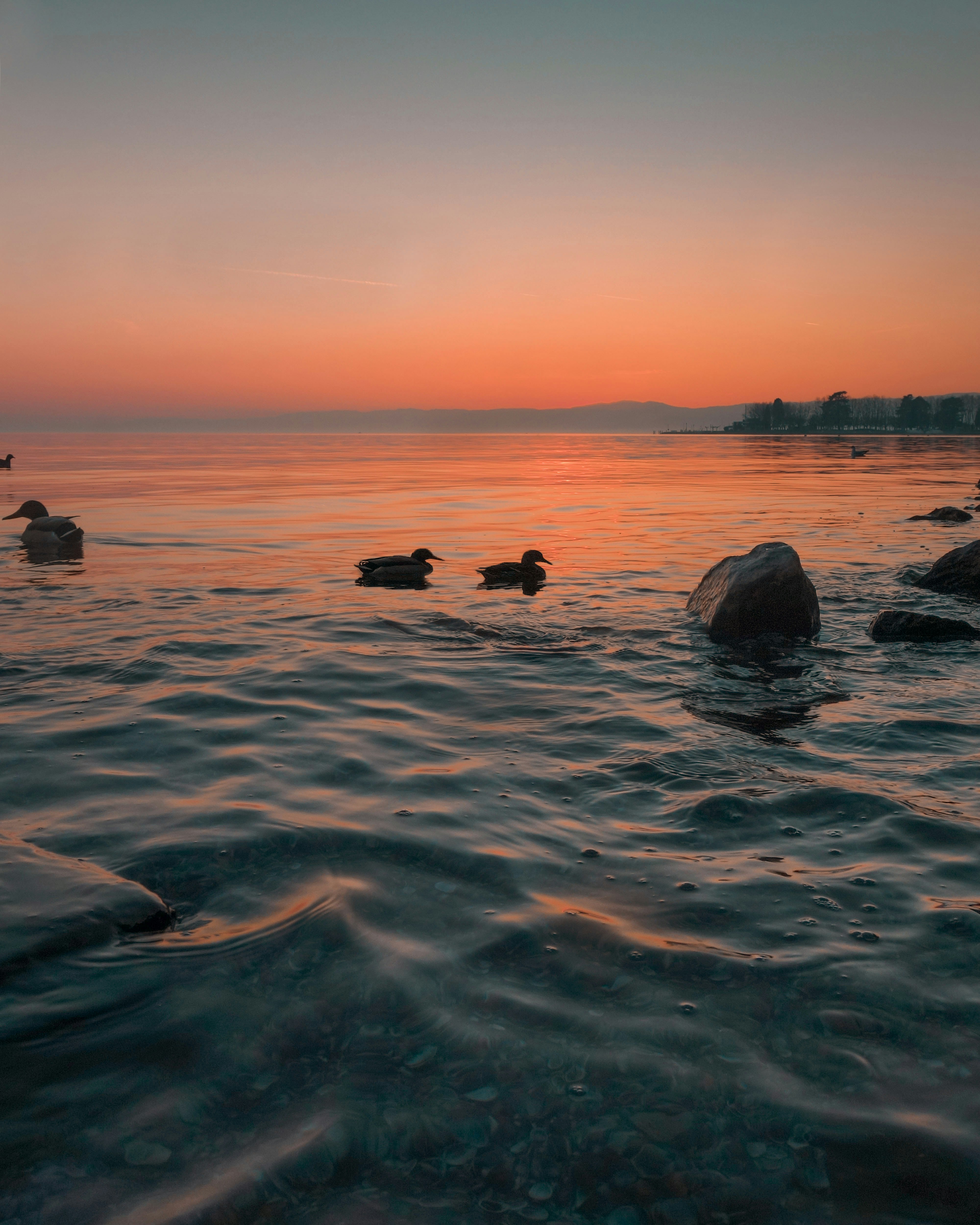 Photo by louisa_schaad