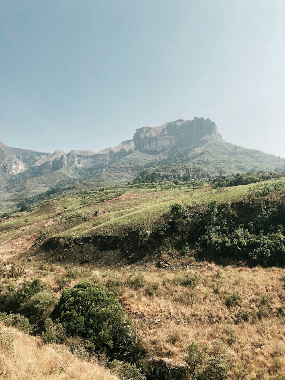 Collines verdoyantes