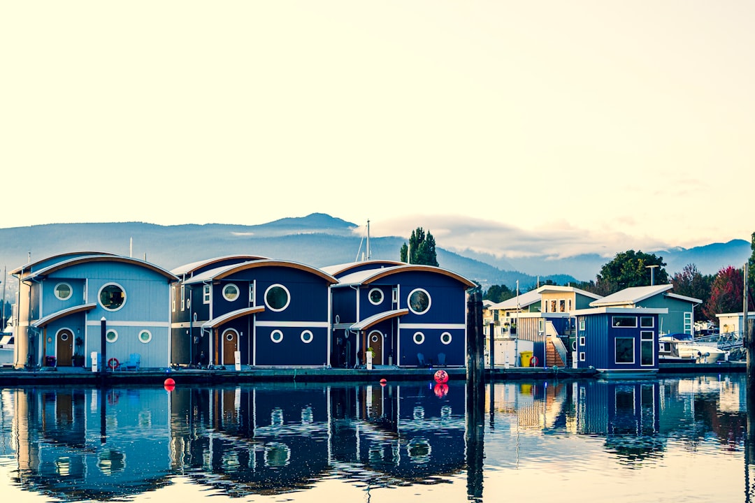 blue houses near river