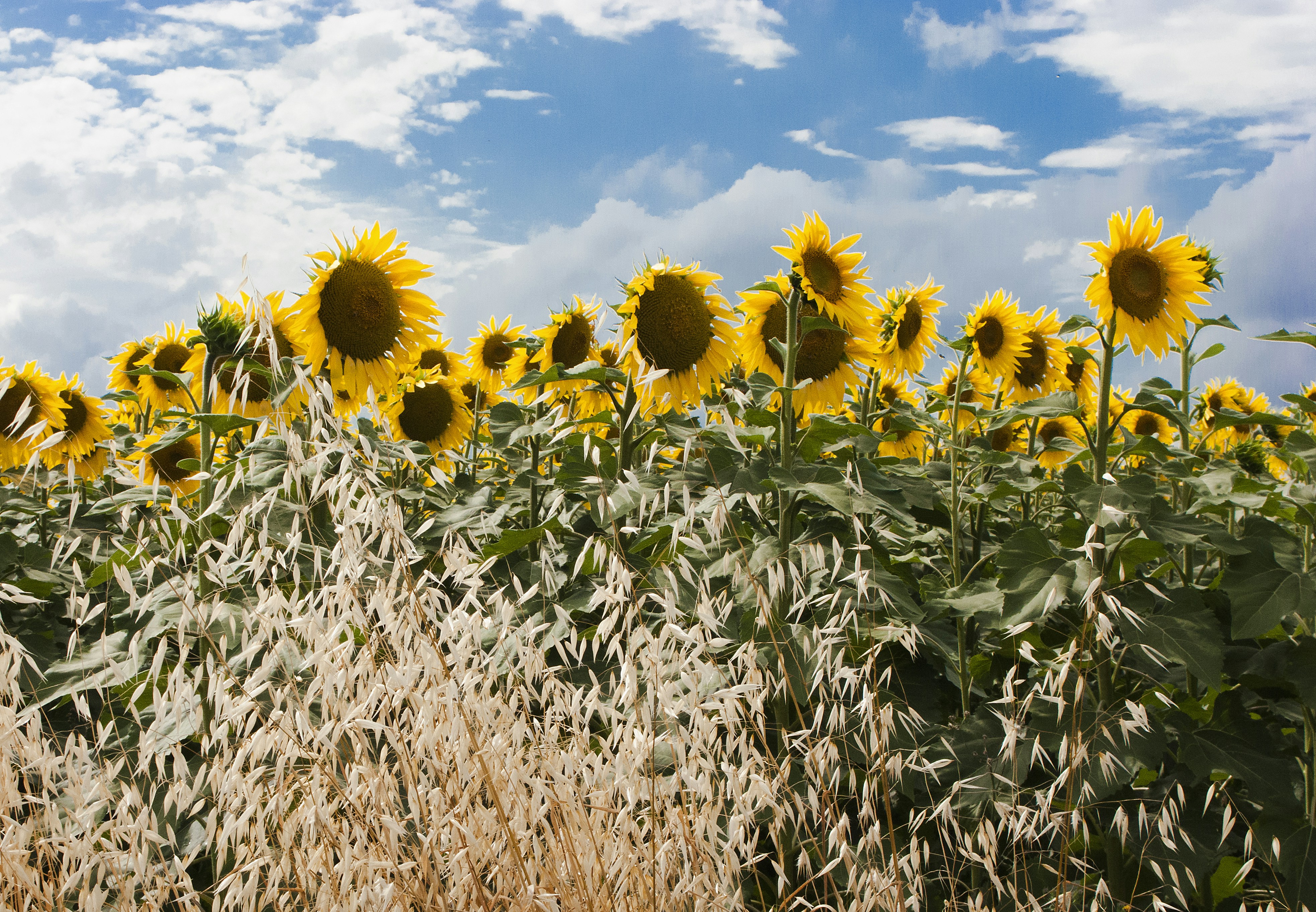 Photo by marijkekrommenacker