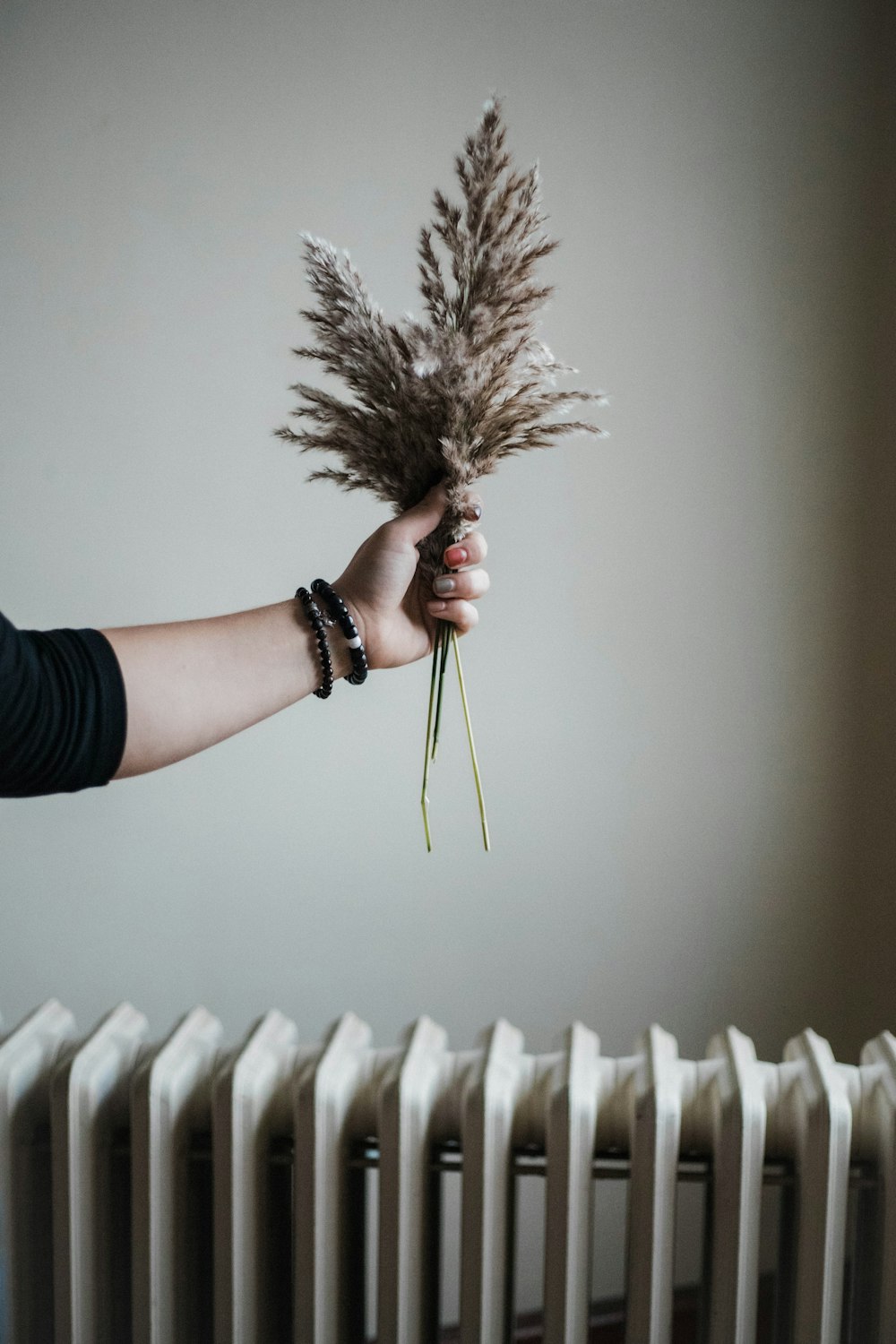 person holding leaves