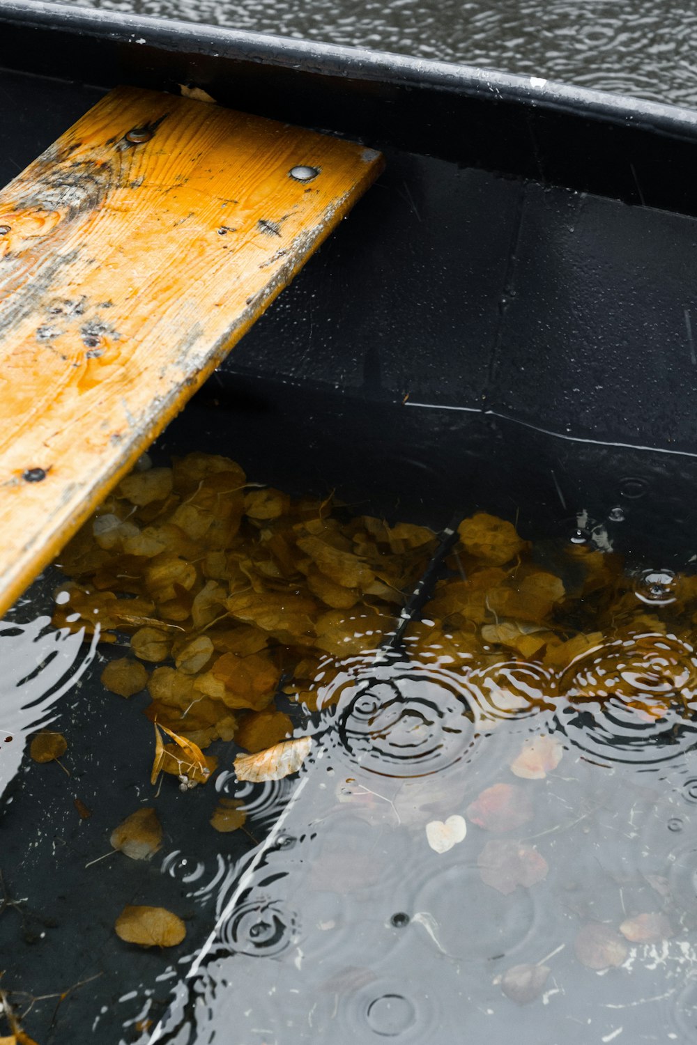 Photo de mise au point peu profonde d’un plan d’eau