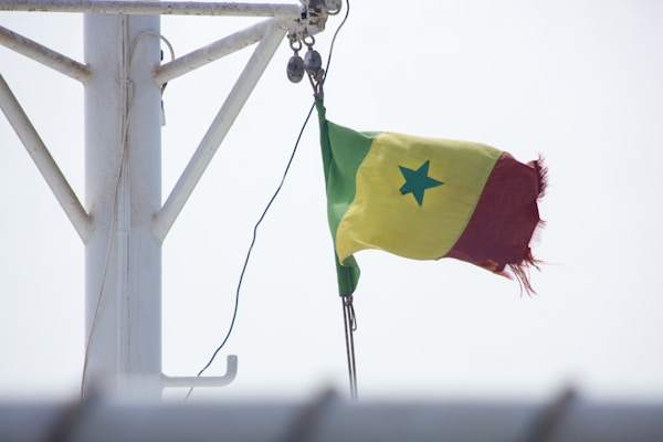 Best Time to Visit Senegal: Ideal Weather, Seasons & Months