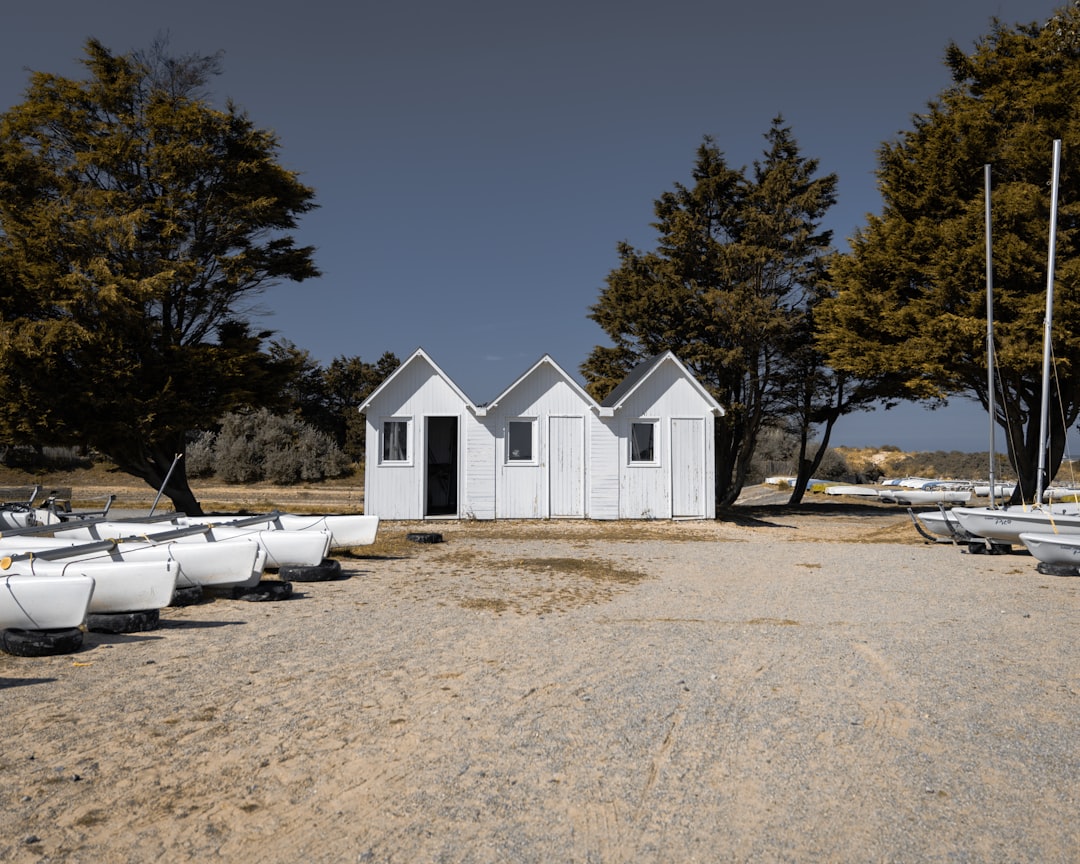 white boats beside white shed and trees